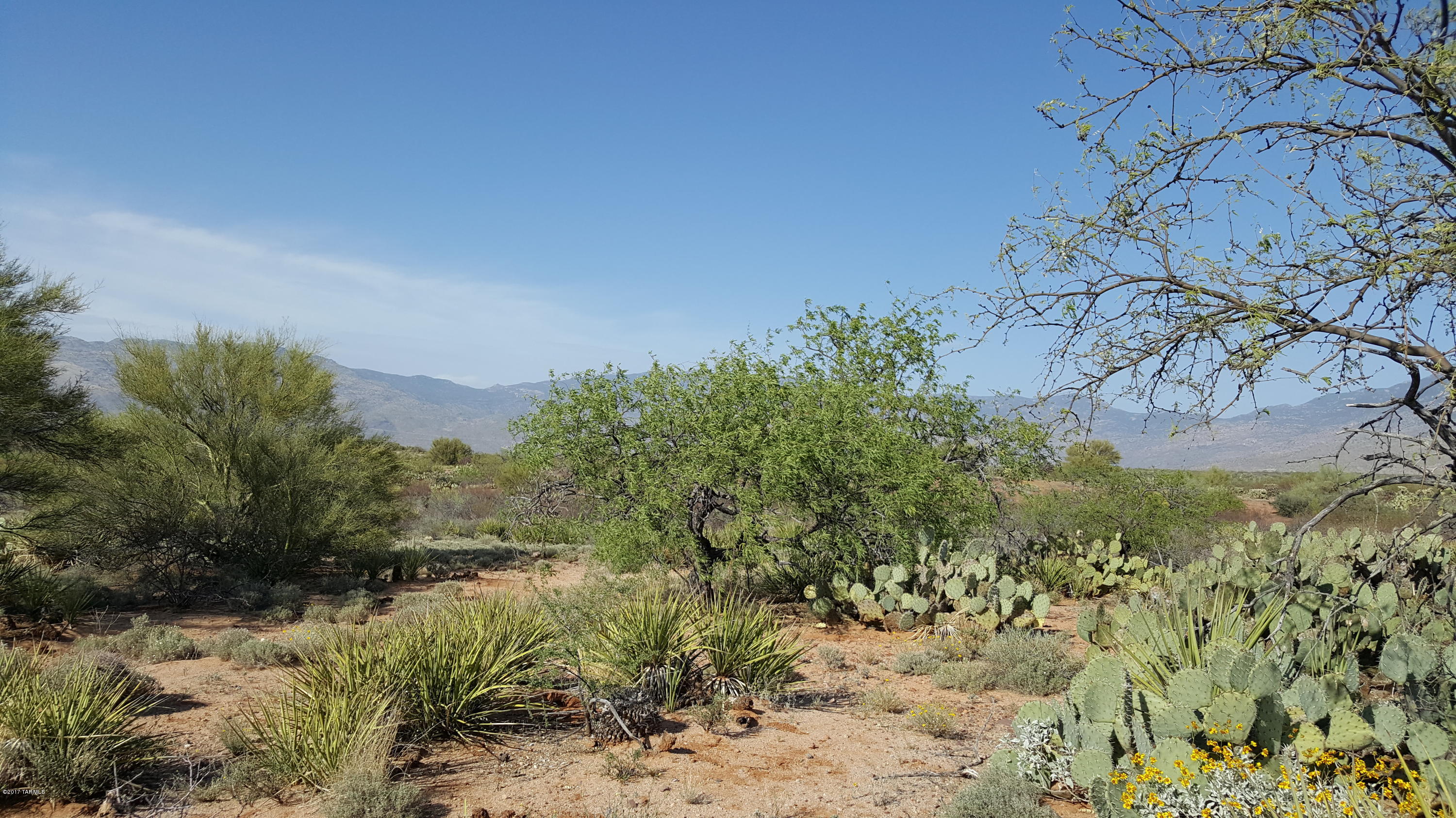 Mountain Creek Ranch (1-64) - Land