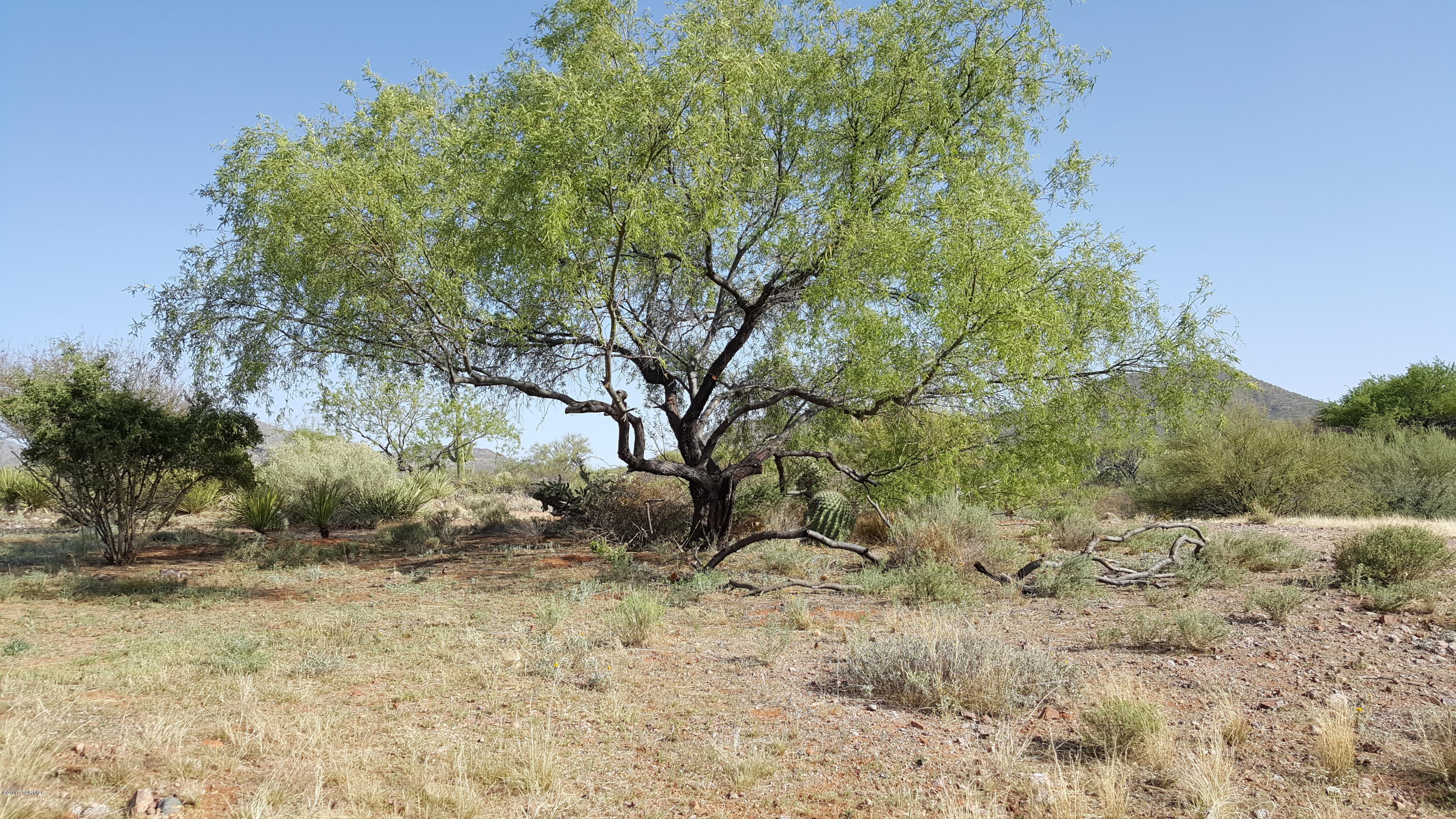 Mountain Creek Ranch (1-64) - Land