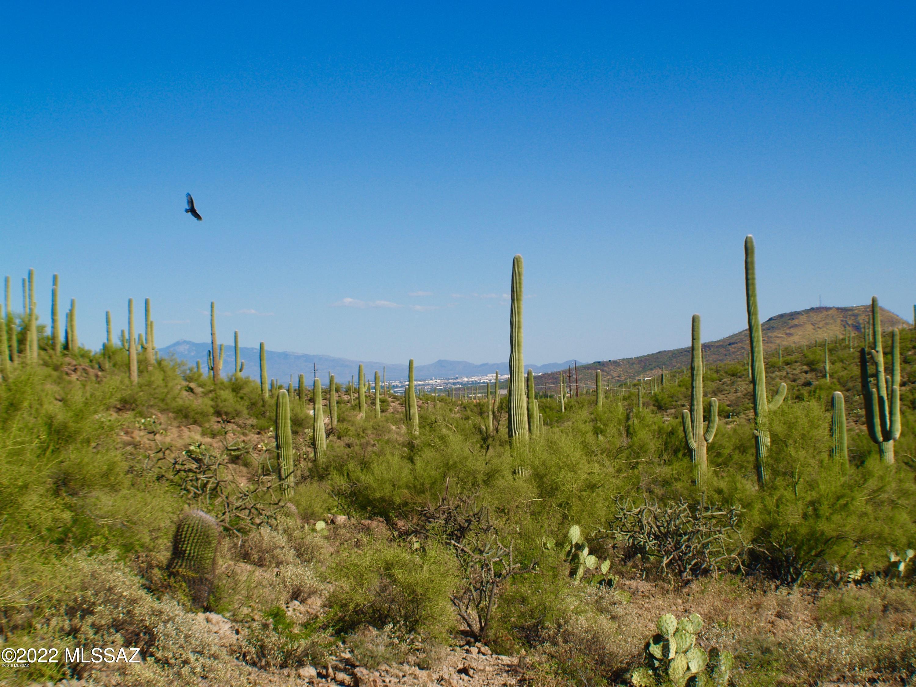 Classic Sonoran Desert lot just 6 miles from downtown Tucson! Lush 1.2 acre lot with giant saguaros, palo verde and rock out crops. List price is 27.5K less than recent appraisal (Nov. 2021).