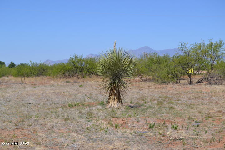 Out Of Pima County - Land