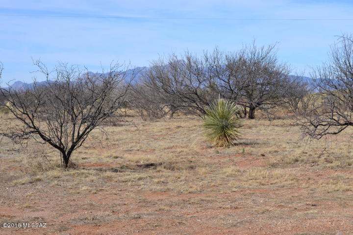 Out Of Pima County - Land