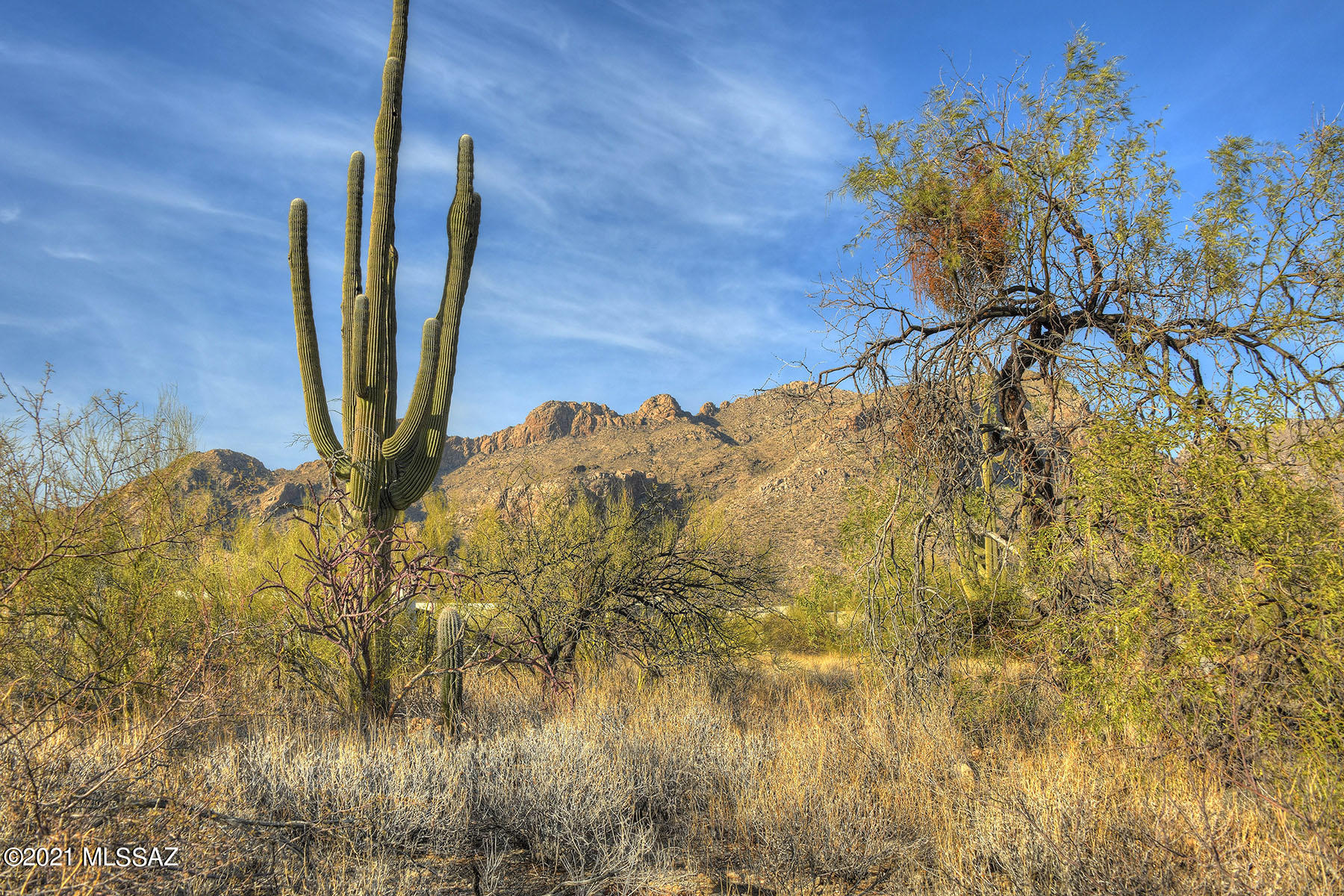 Pima Canyon Estates (1-176) - Land