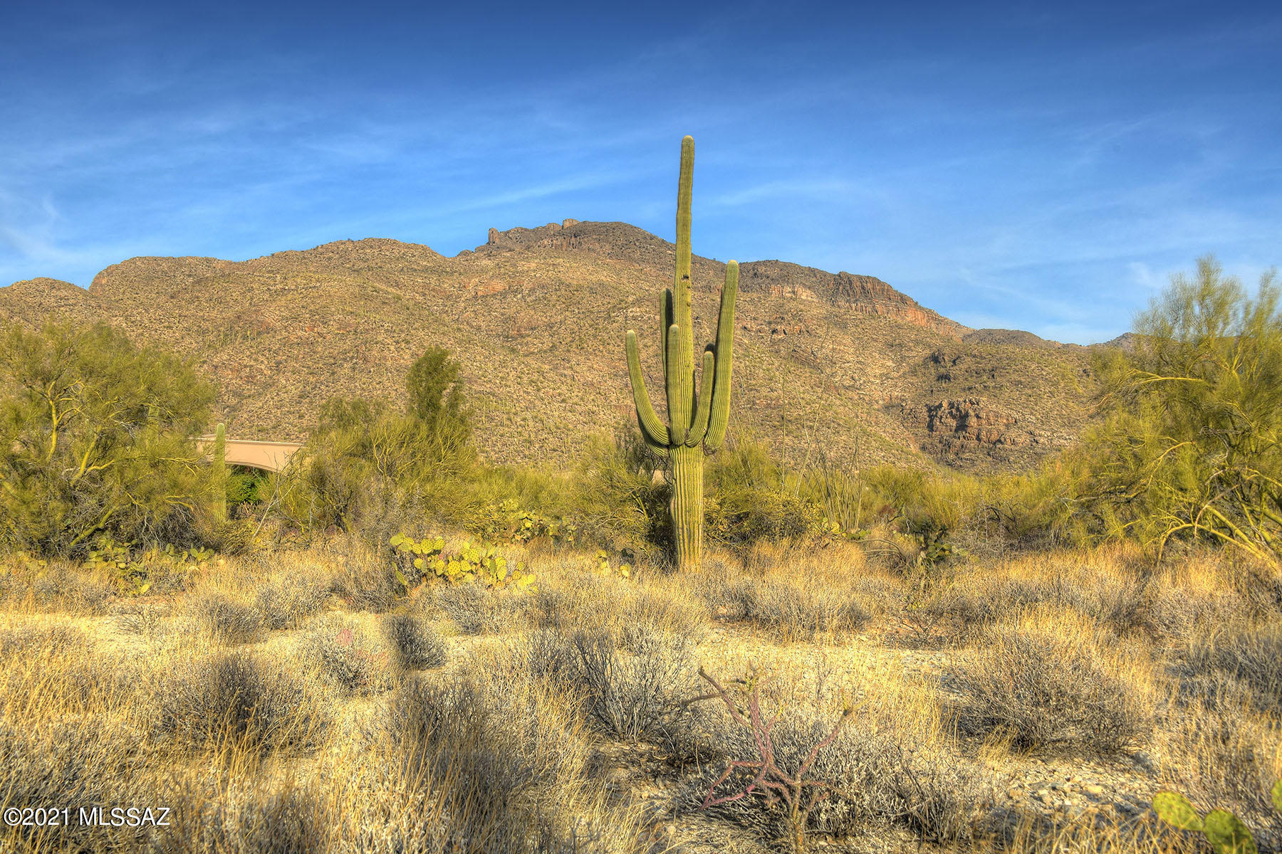 Pima Canyon Estates (1-176) - Land