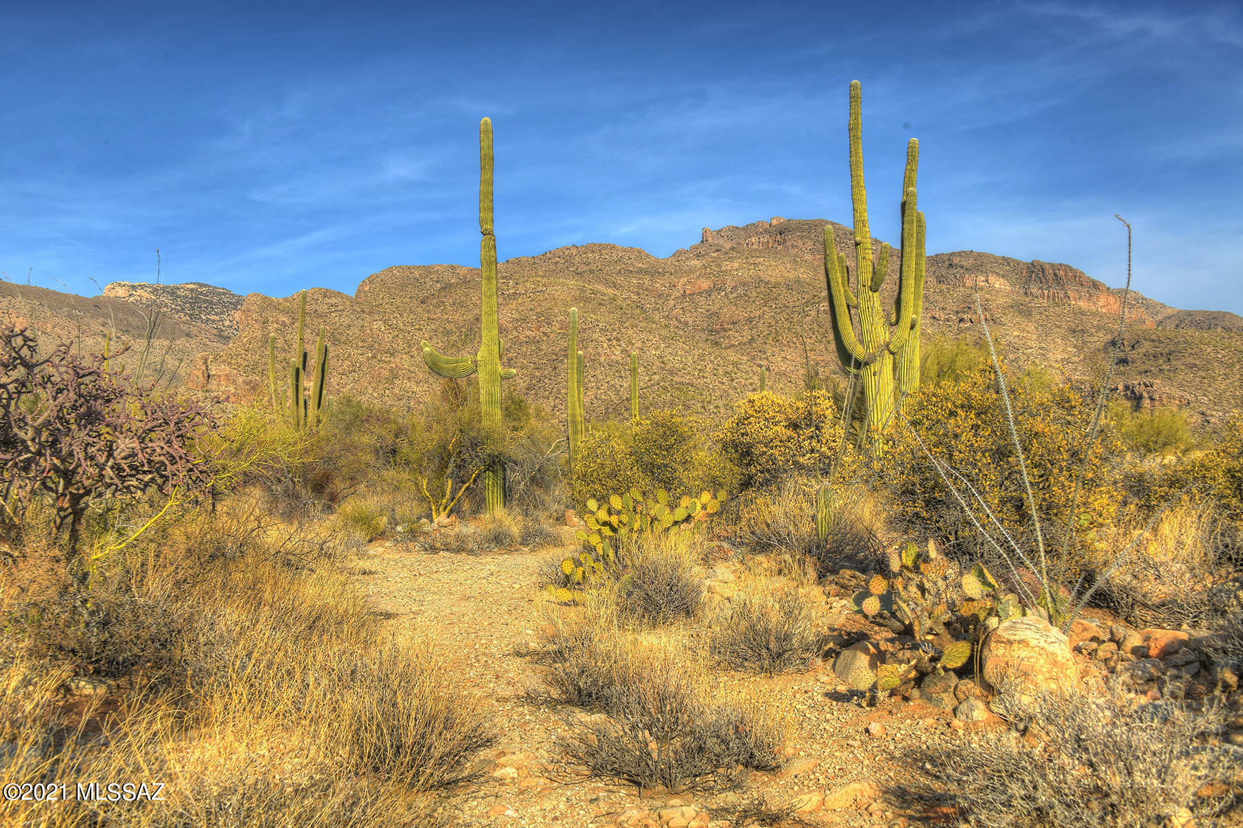 Pima Canyon Estates (1-176) - Land