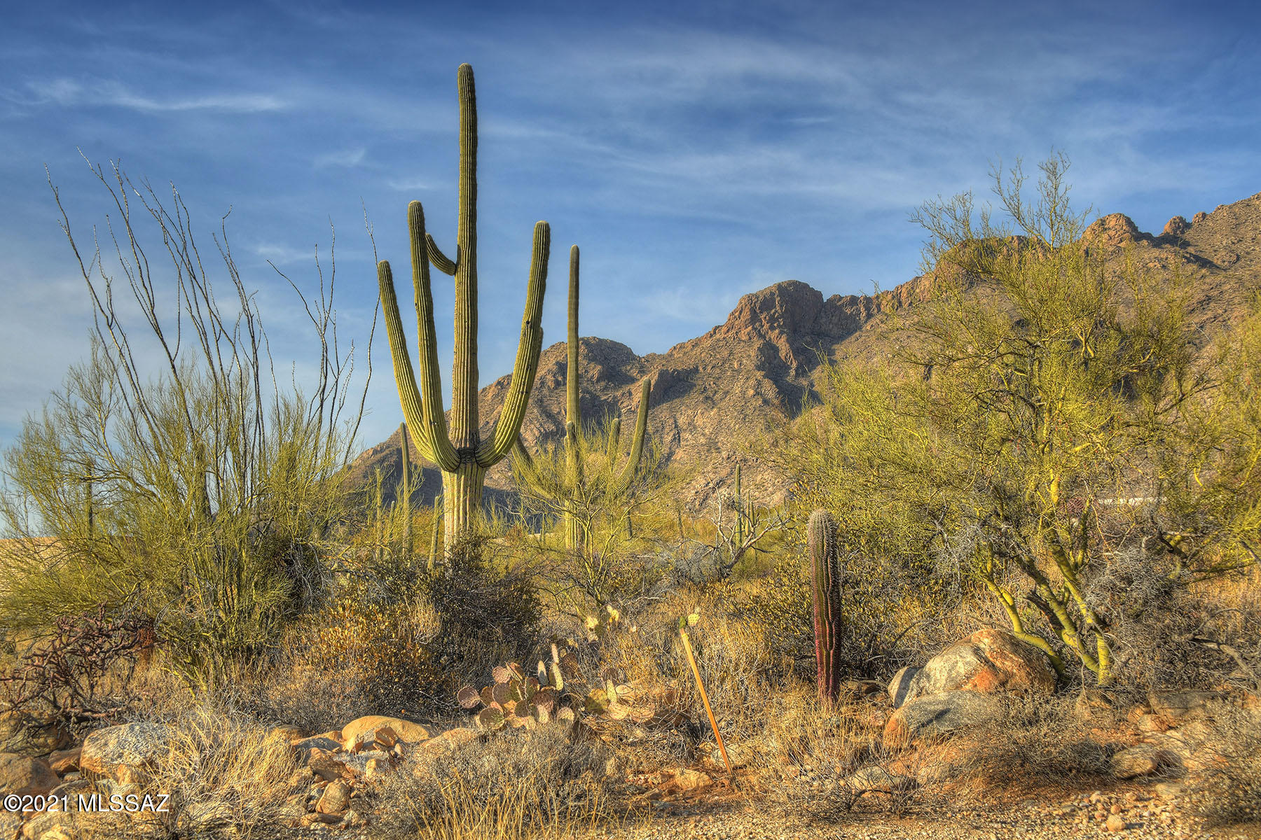 Pima Canyon Estates (1-176) - Land
