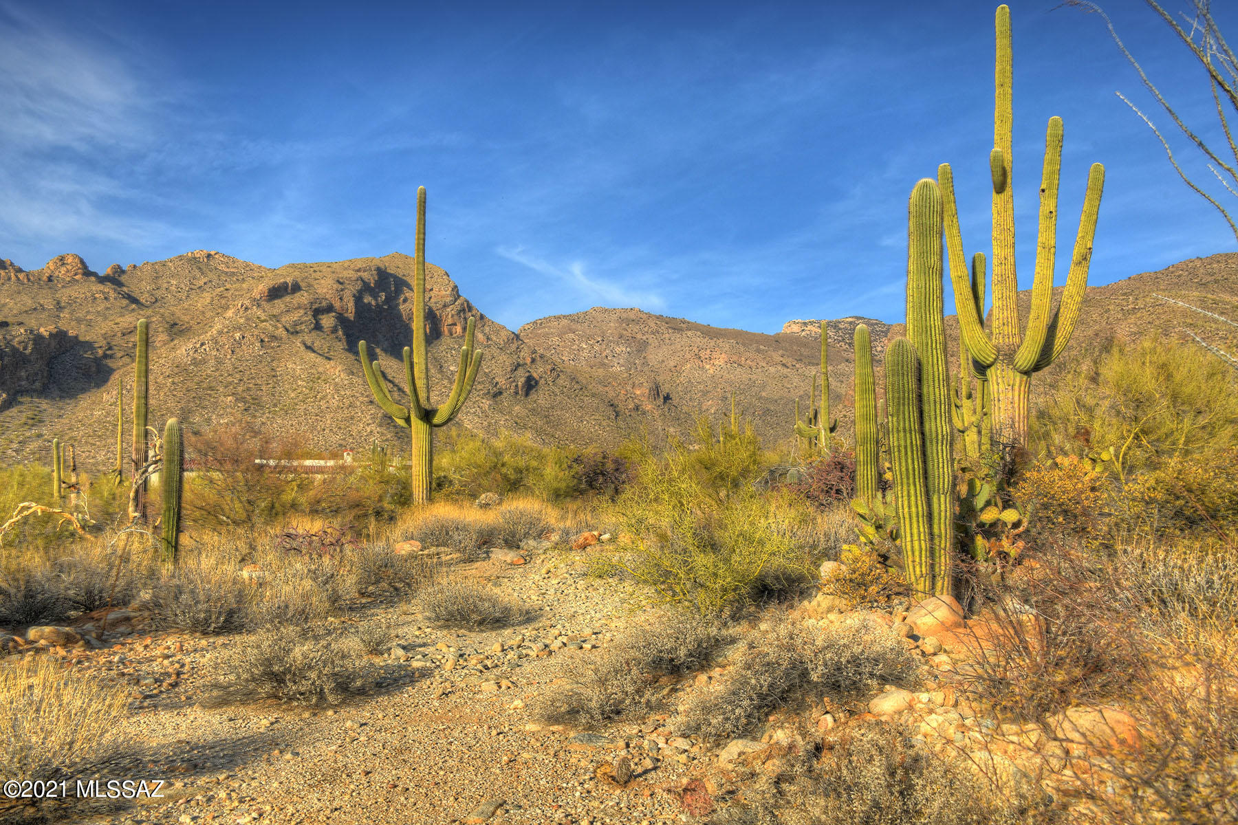 Pima Canyon Estates (1-176) - Land