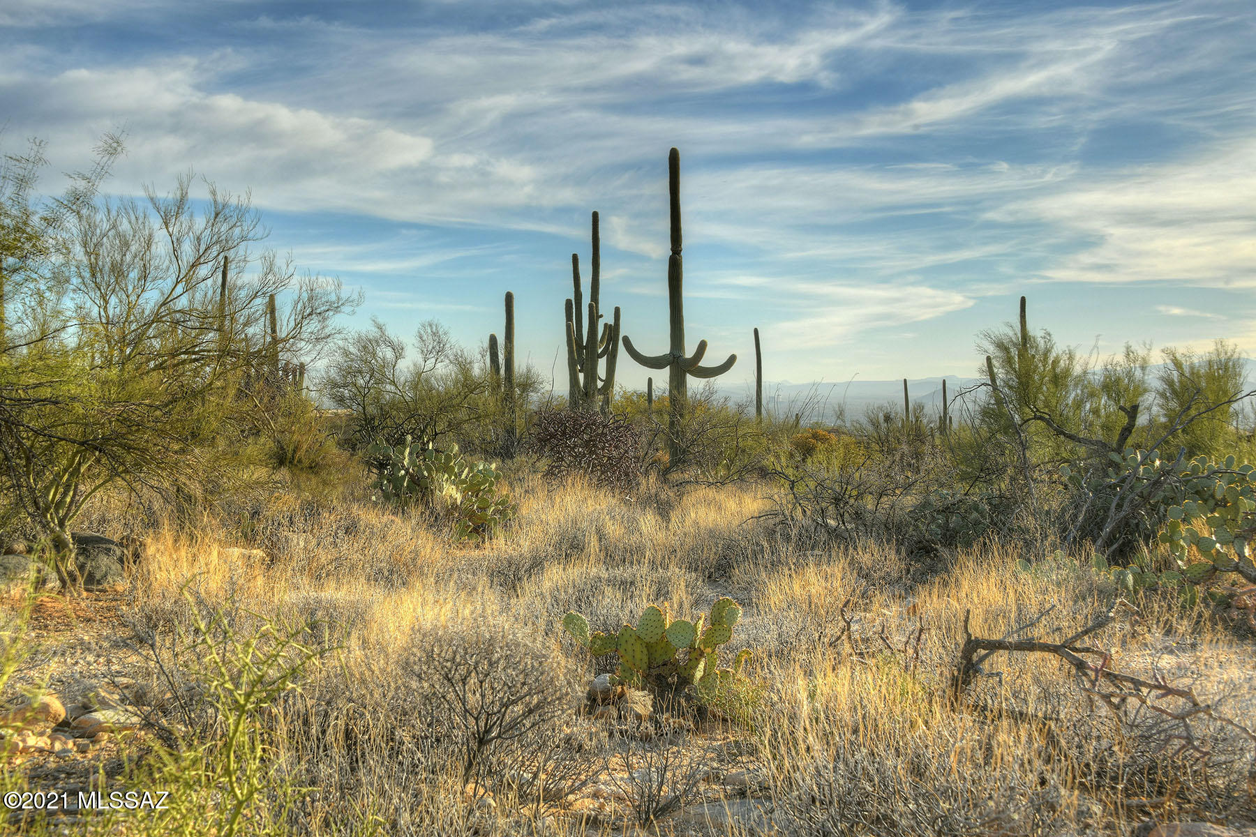 Pima Canyon Estates (1-176) - Land