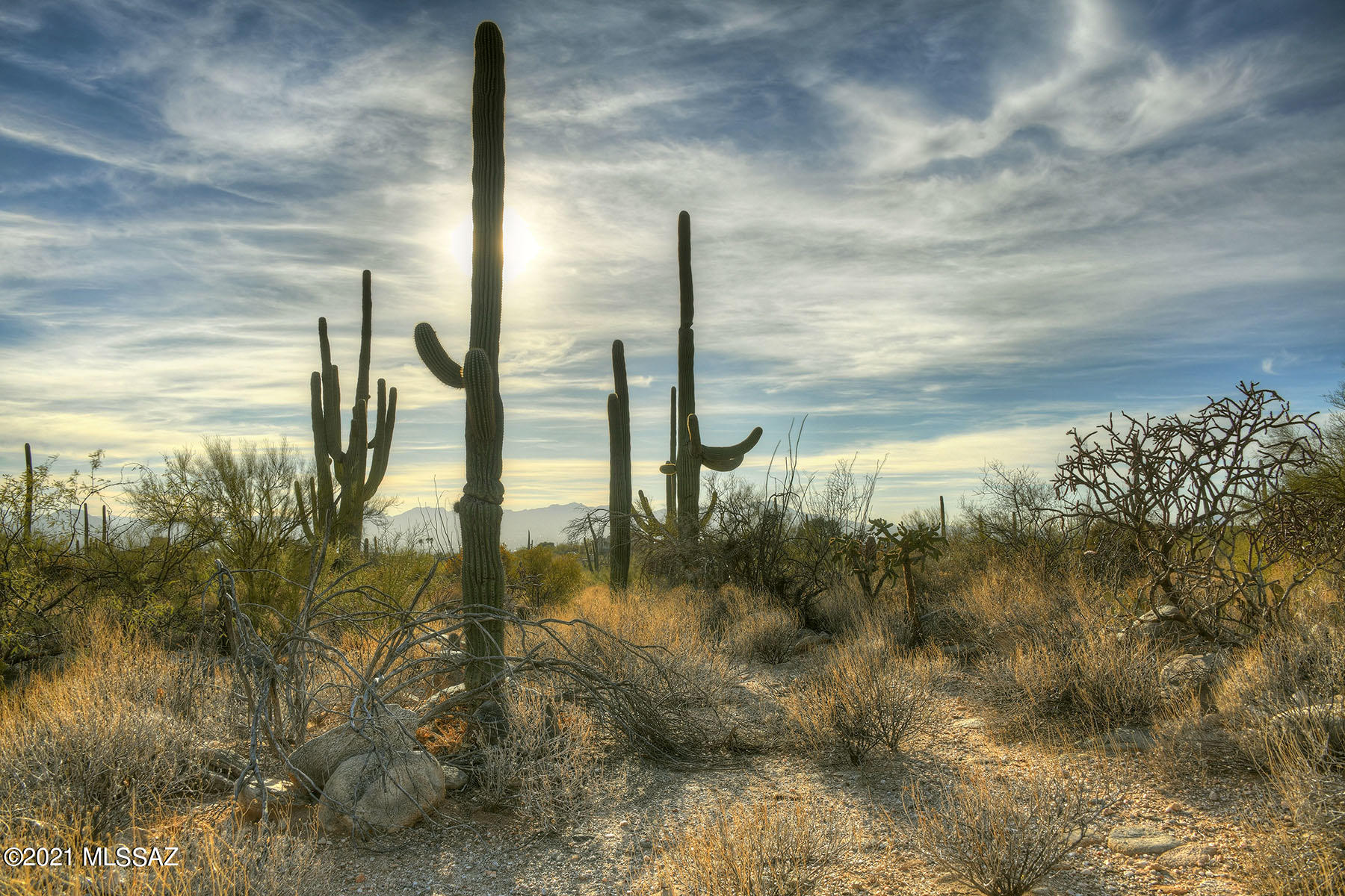 Pima Canyon Estates (1-176) - Land
