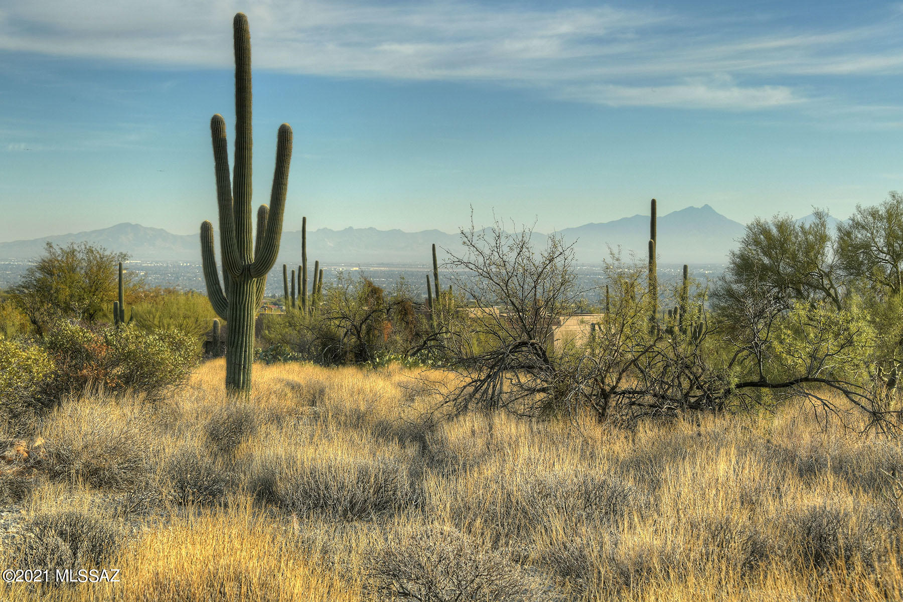 Pima Canyon Estates (1-176) - Land