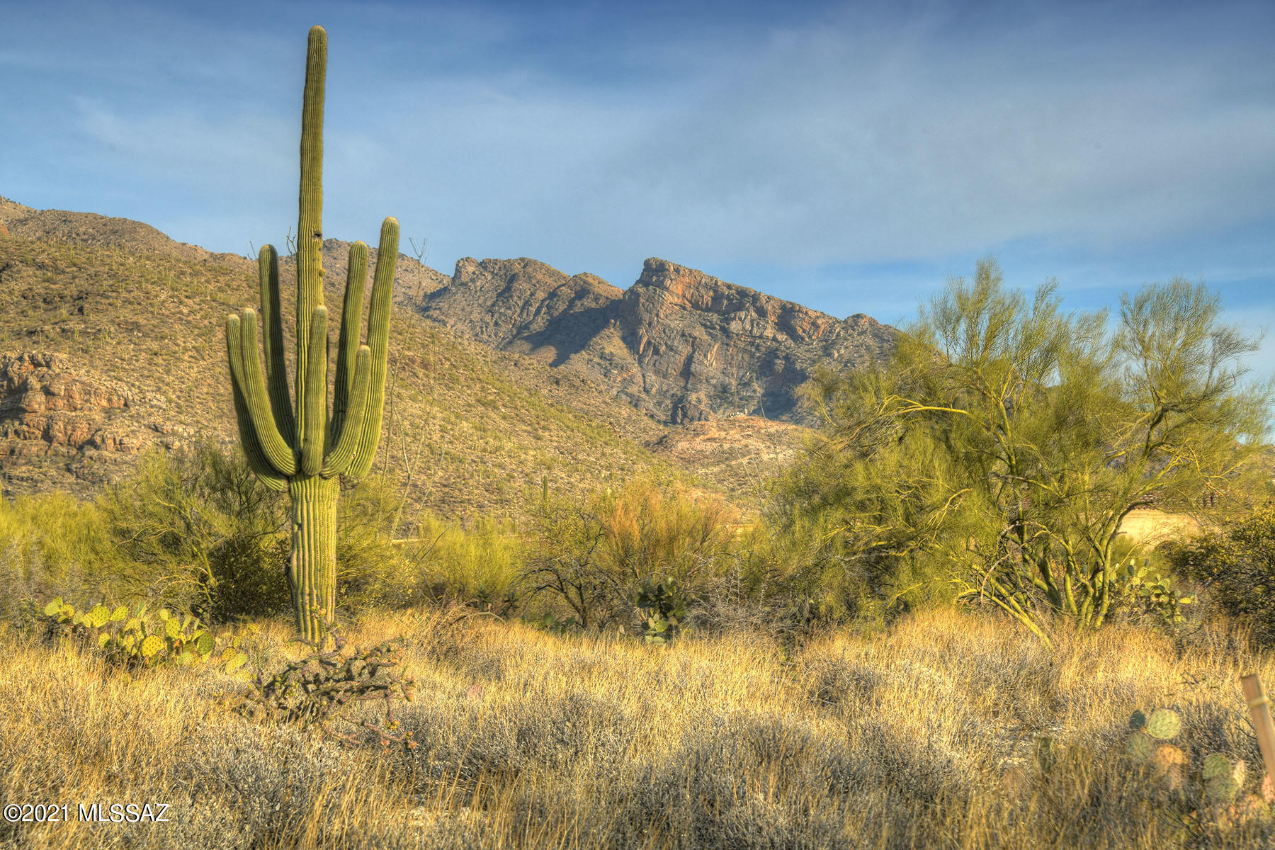 Pima Canyon Estates (1-176) - Land