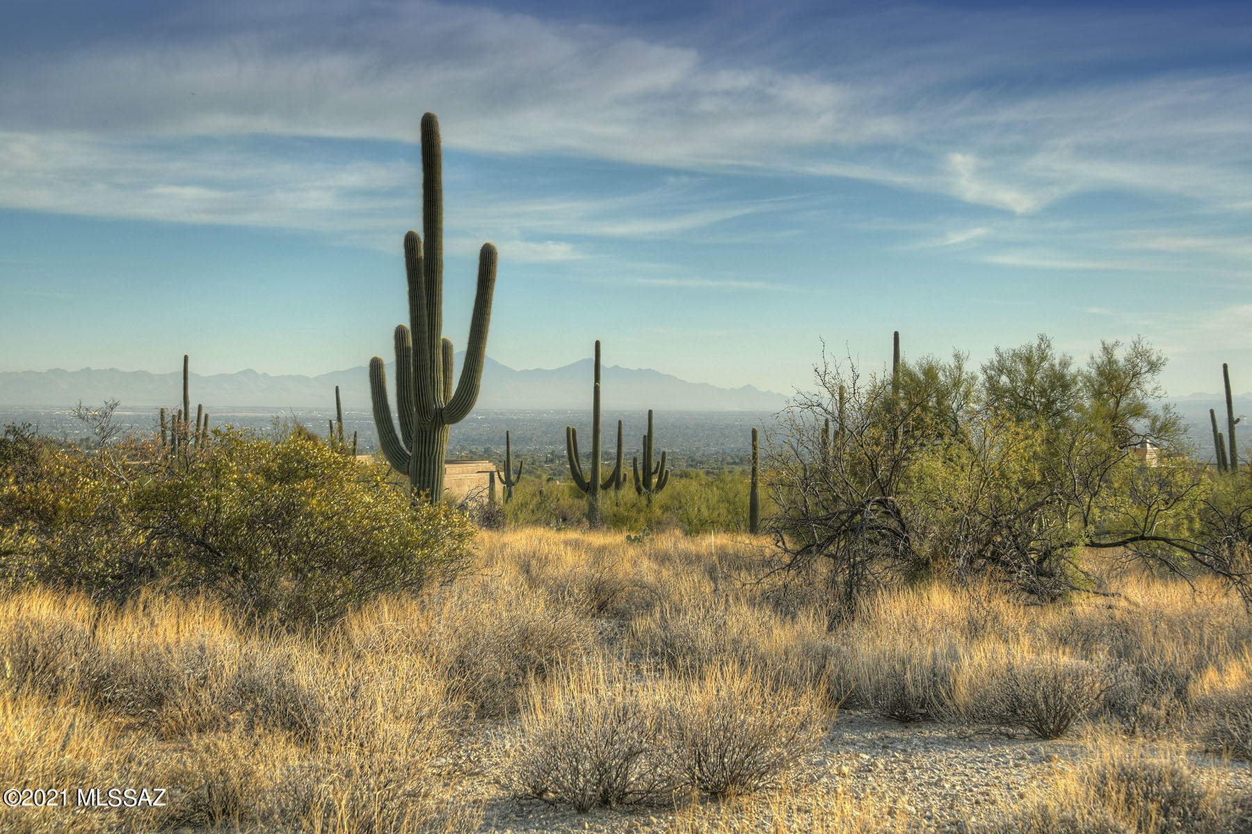 Pima Canyon Estates (1-176) - Land
