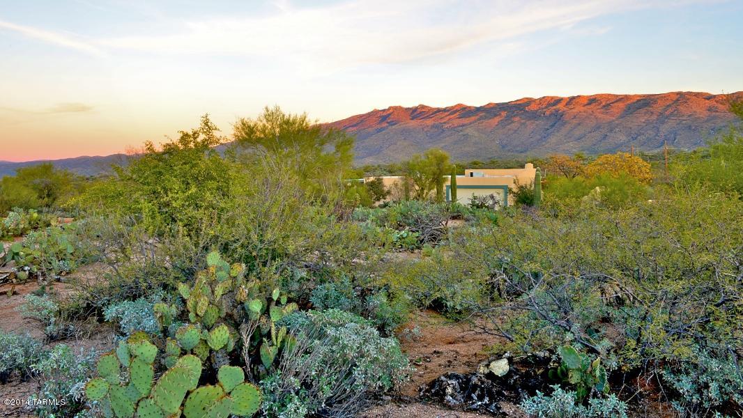 Extraordinary property situated directly across the road from Saguaro National Park-East. It encompasses 3.3 acres of natural Sonoran desert and a gracious & private 2-bedroom, 2-bathroom custom-built residence w/pool & spa, high exposed-beam ceilings and 2-car garage. Well maintained and recently outfitted with new stainless kitchen appliances. Enjoy privacy and breathtaking views of the Rincon & Catalina mountain ranges, access to hiking and biking, desert wildlife and flora, all within 10 minutes of shopping, dining and banking. Roof recently coated & sealed; dual-pane low-E windows throughout. No HOA.