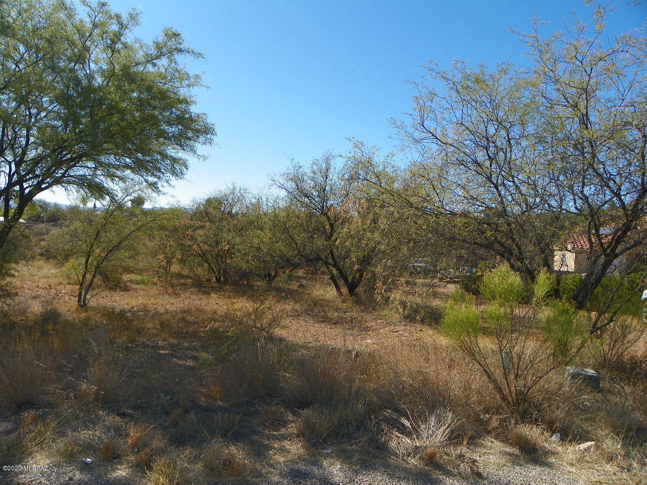 Rio Rico Unit 3 - Land