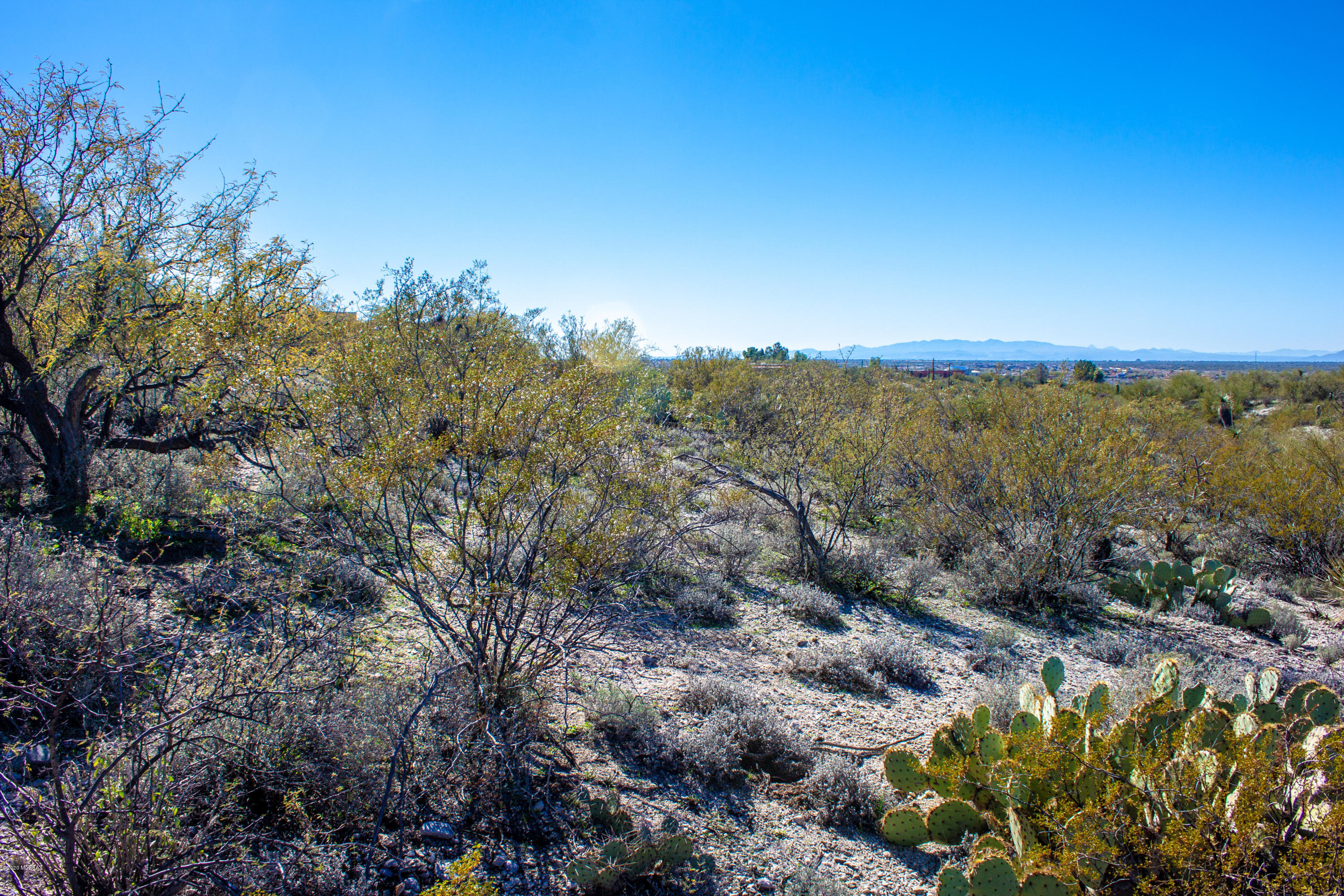 Rancho Cancion East (1-42) - Land