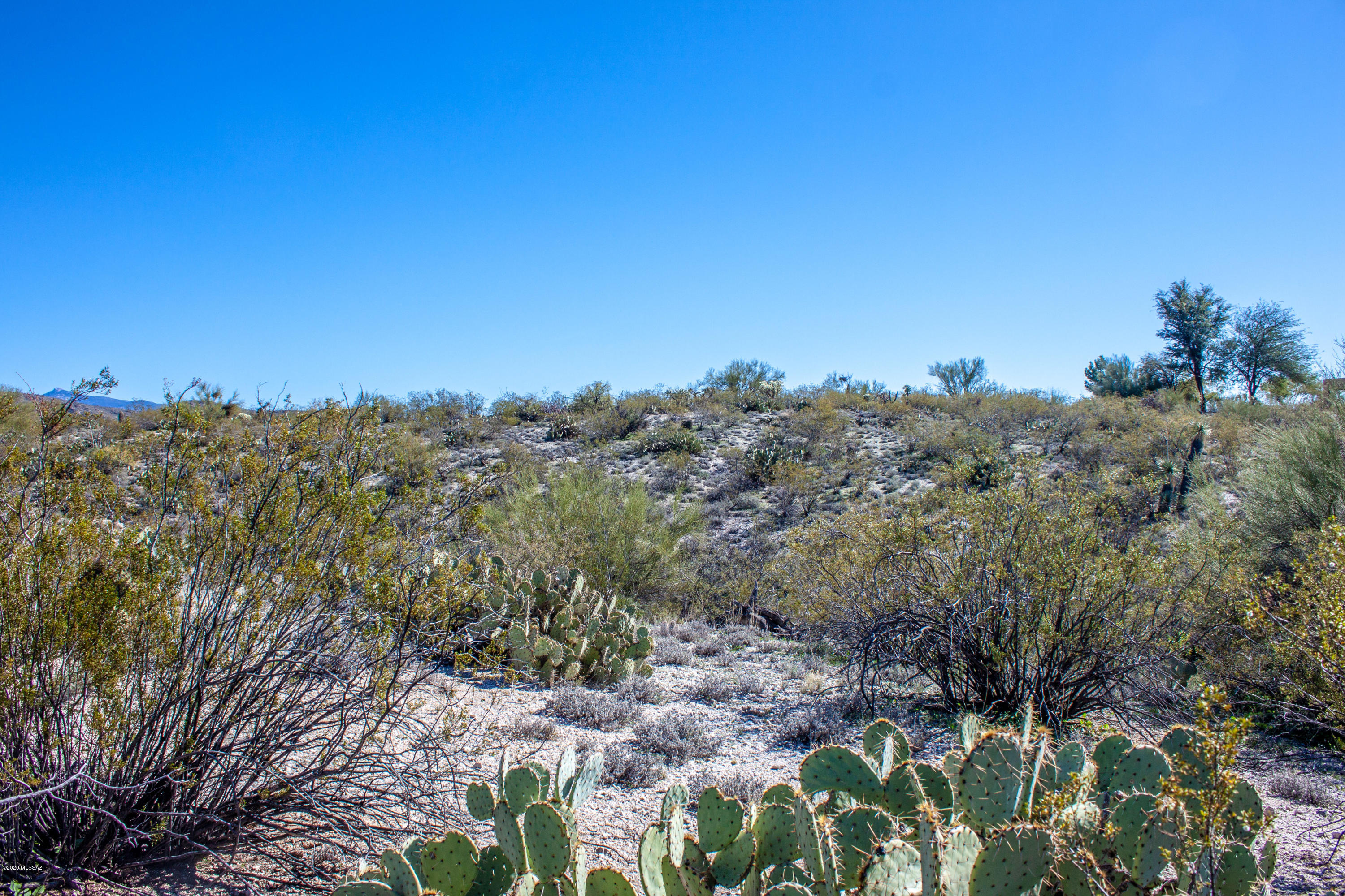 Rancho Cancion East (1-42) - Land