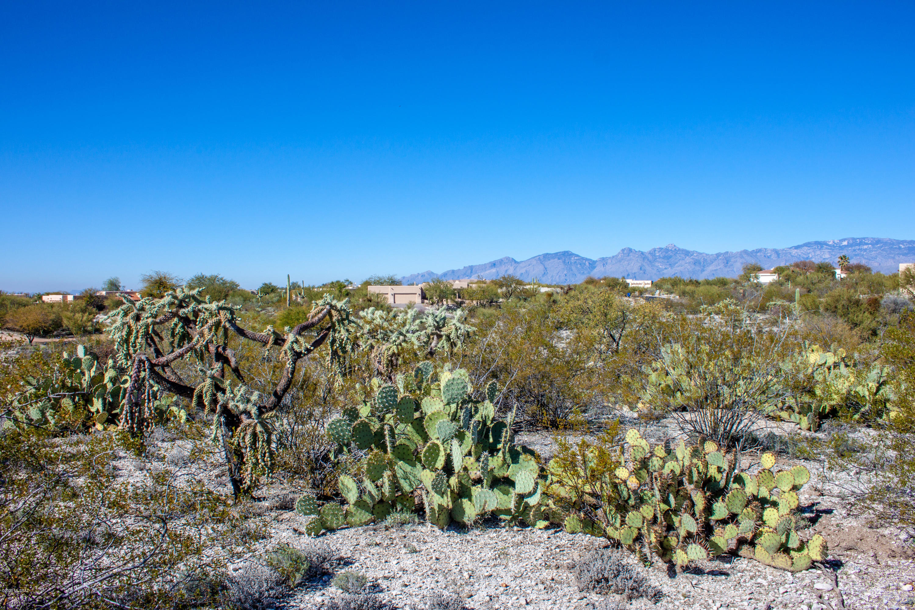 Rancho Cancion East (1-42) - Land