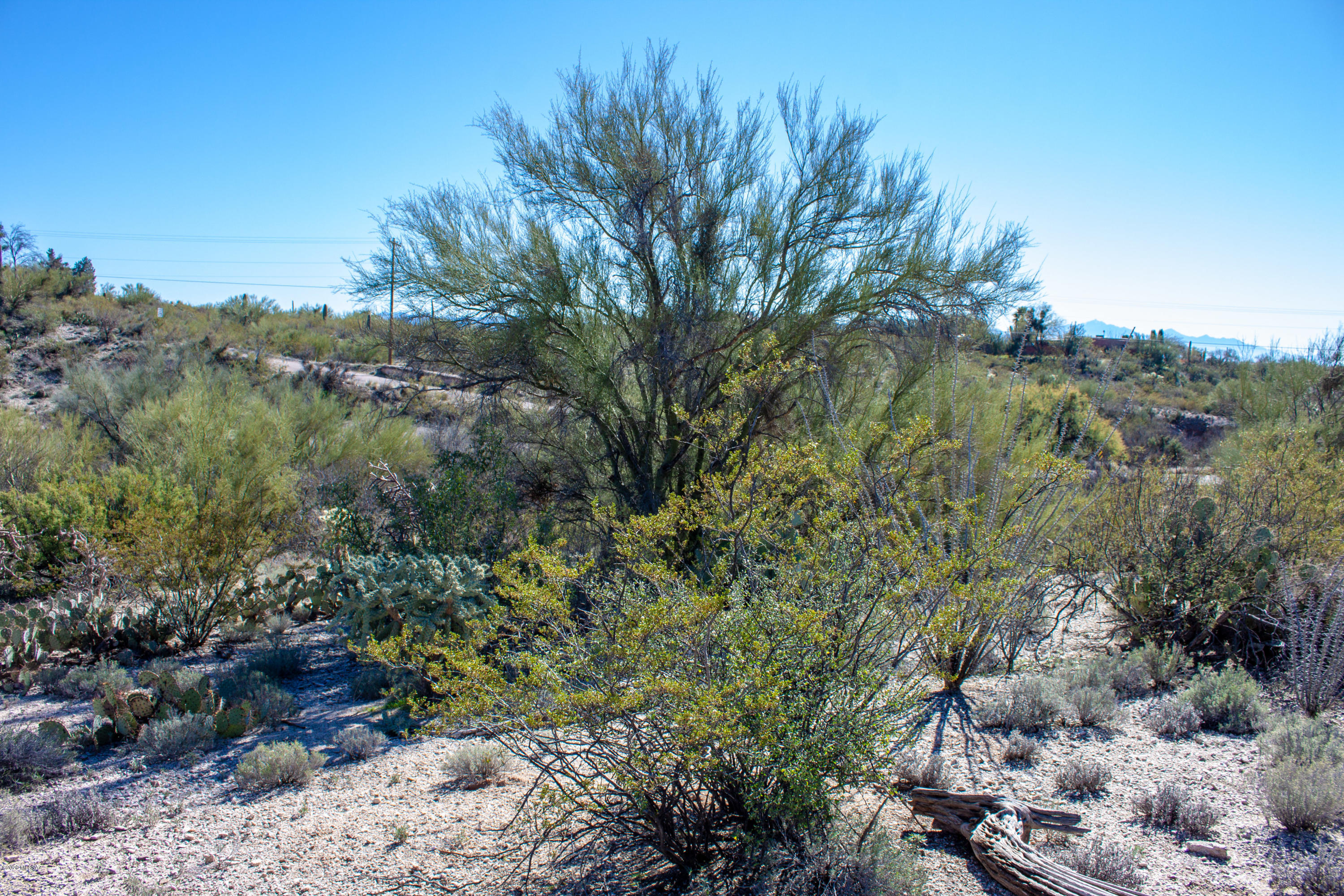 Rancho Cancion East (1-42) - Land