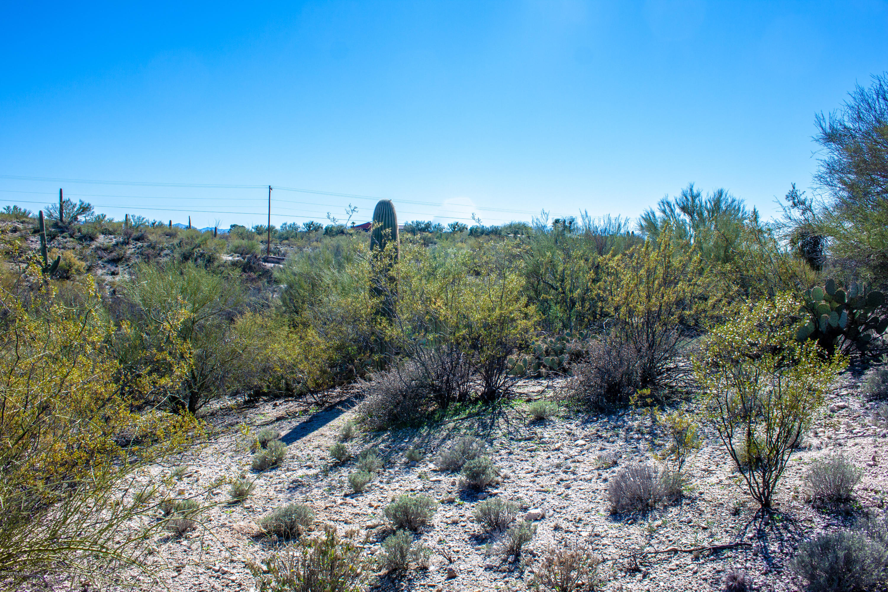 Rancho Cancion East (1-42) - Land