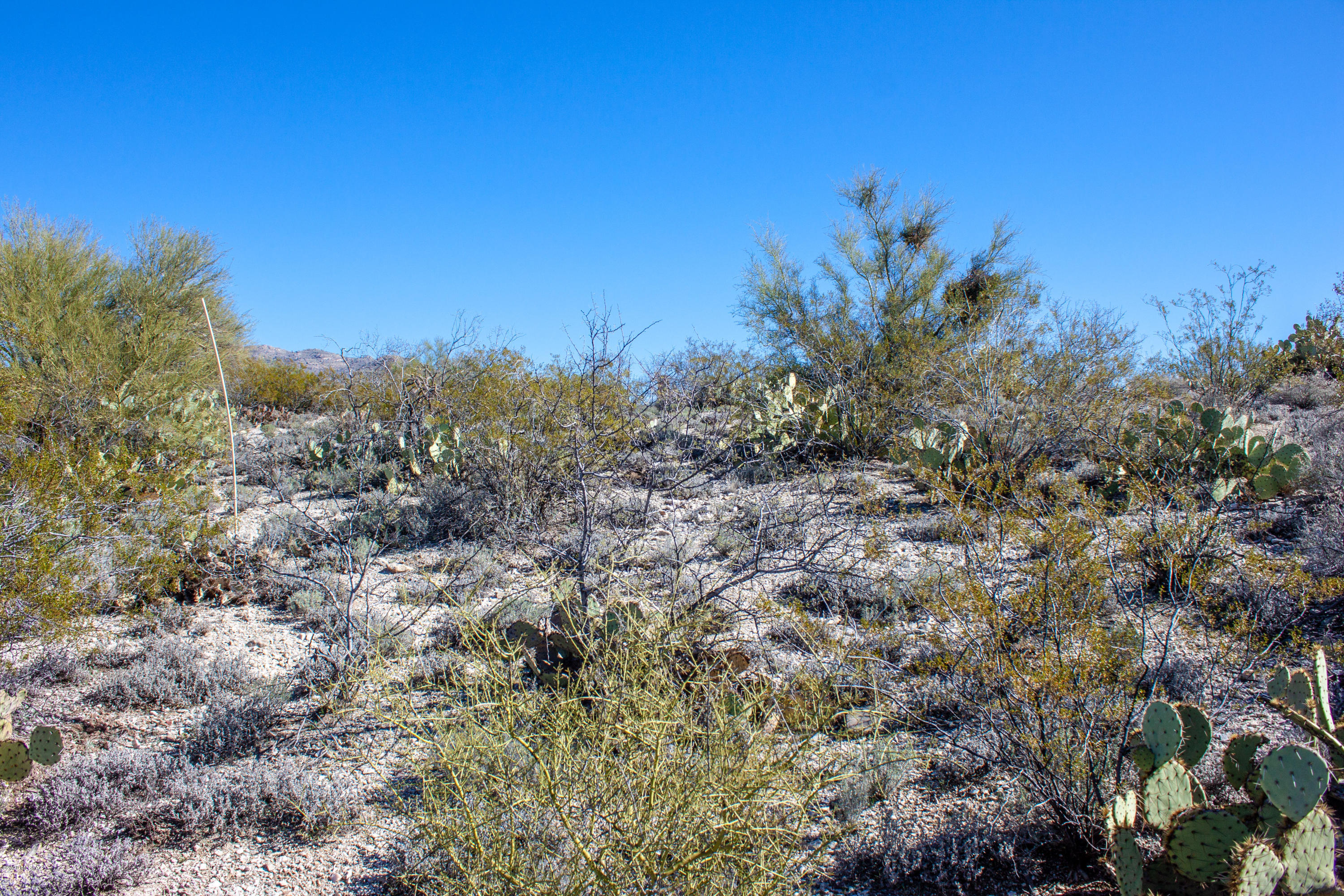 Rancho Cancion East (1-42) - Land