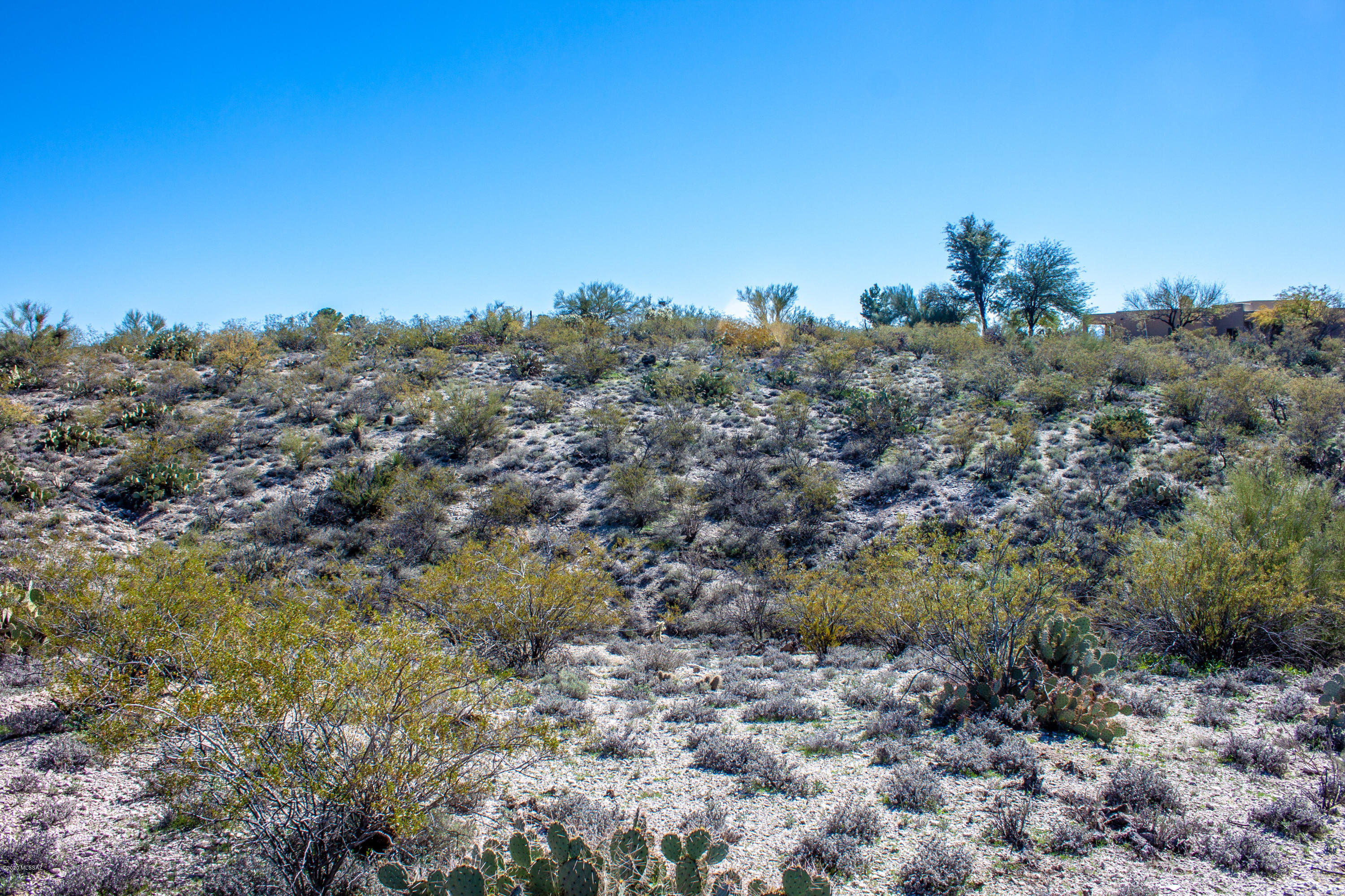 Rancho Cancion East (1-42) - Land