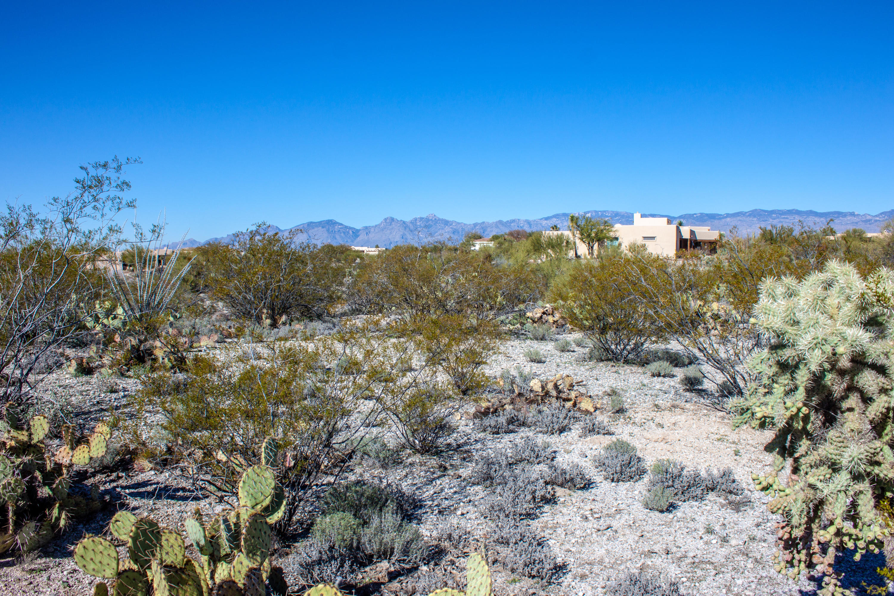 Rancho Cancion East (1-42) - Land