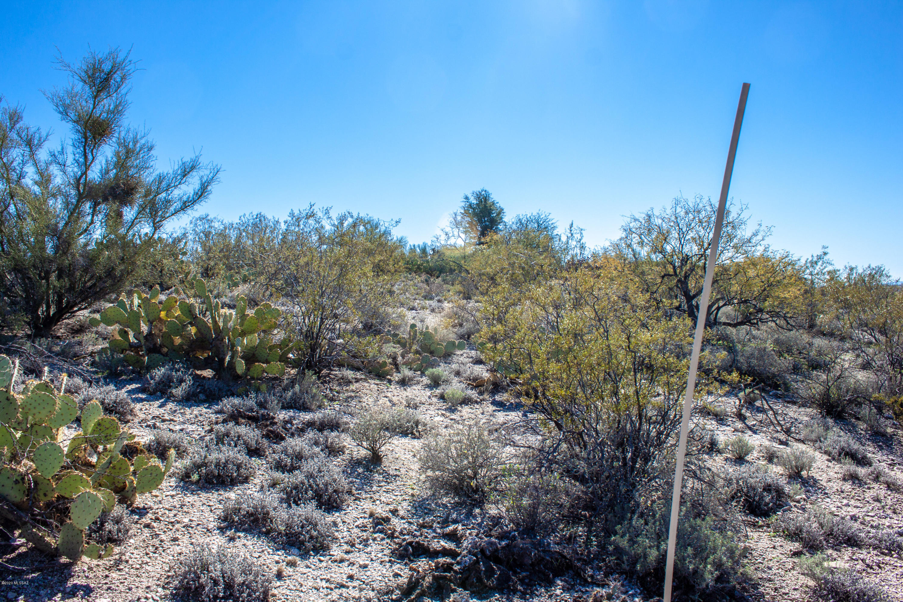 Rancho Cancion East (1-42) - Land