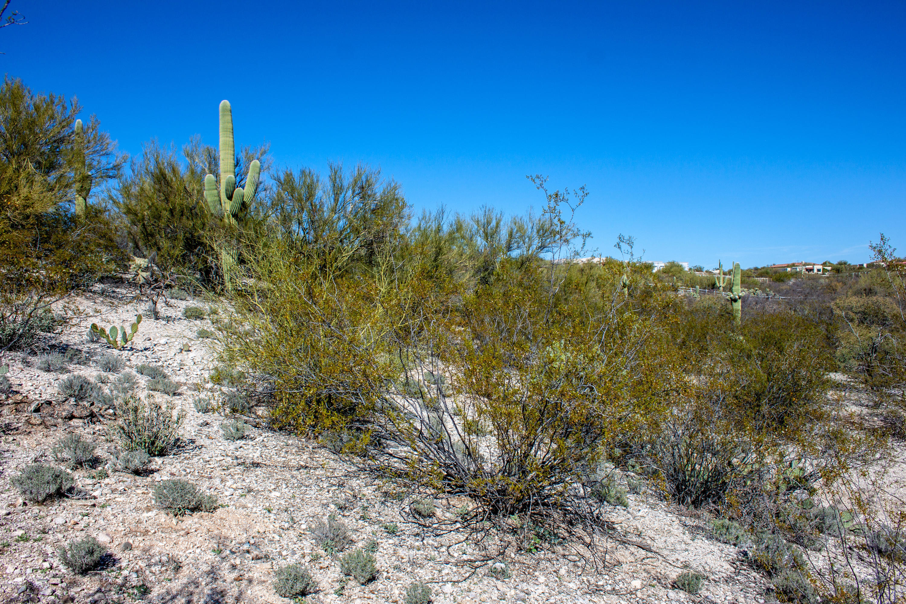 Rancho Cancion East (1-42) - Land
