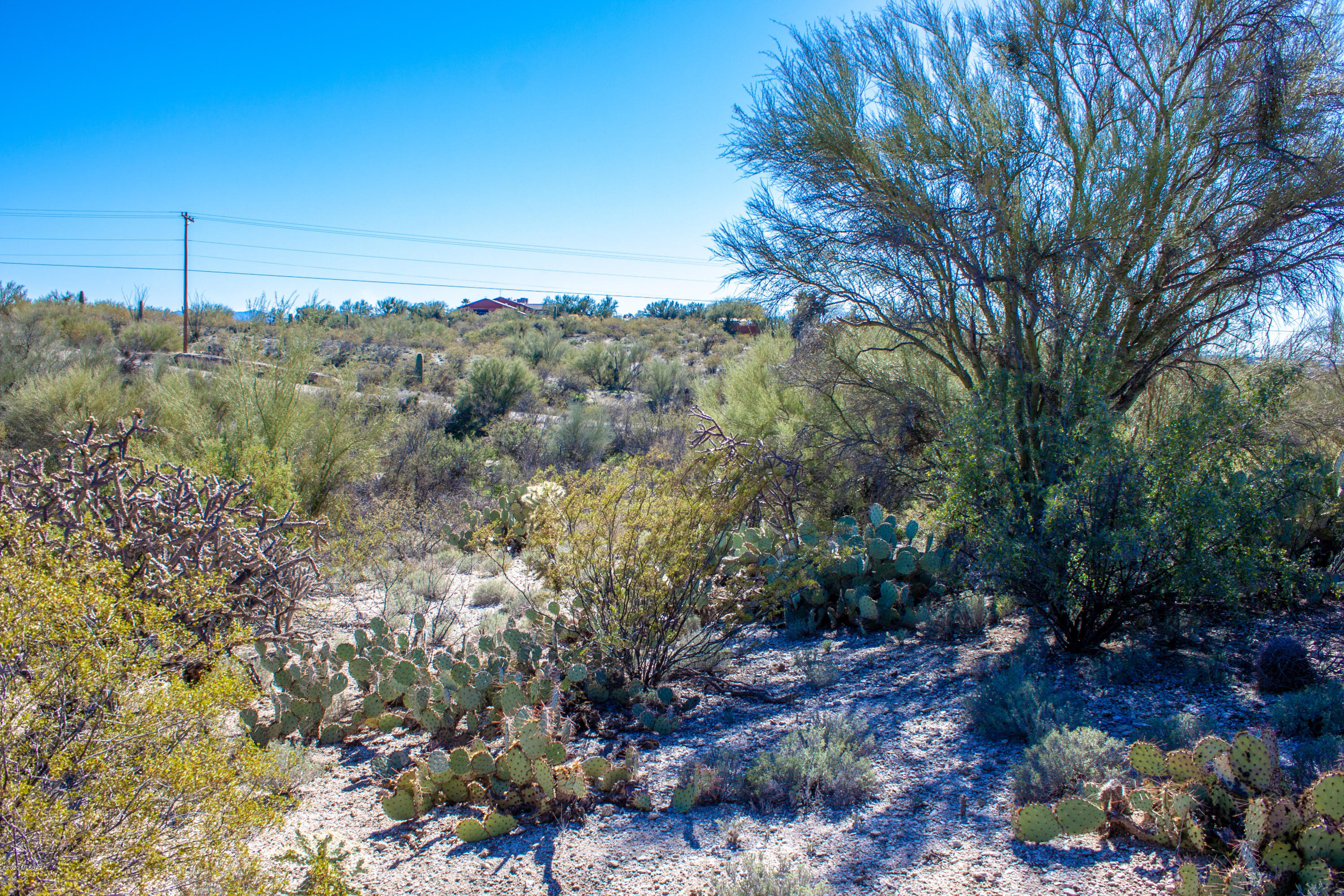 Rancho Cancion East (1-42) - Land