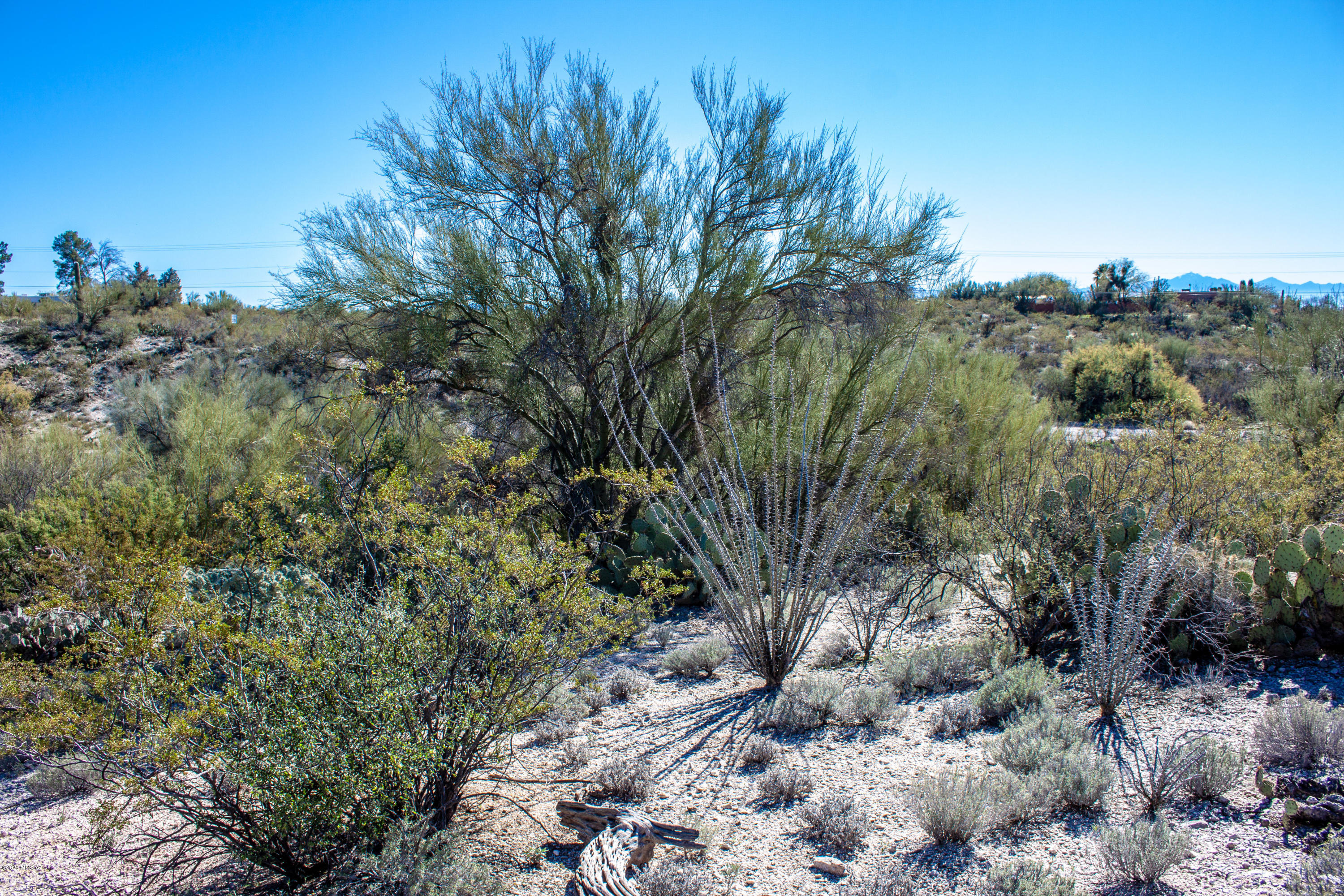 Rancho Cancion East (1-42) - Land