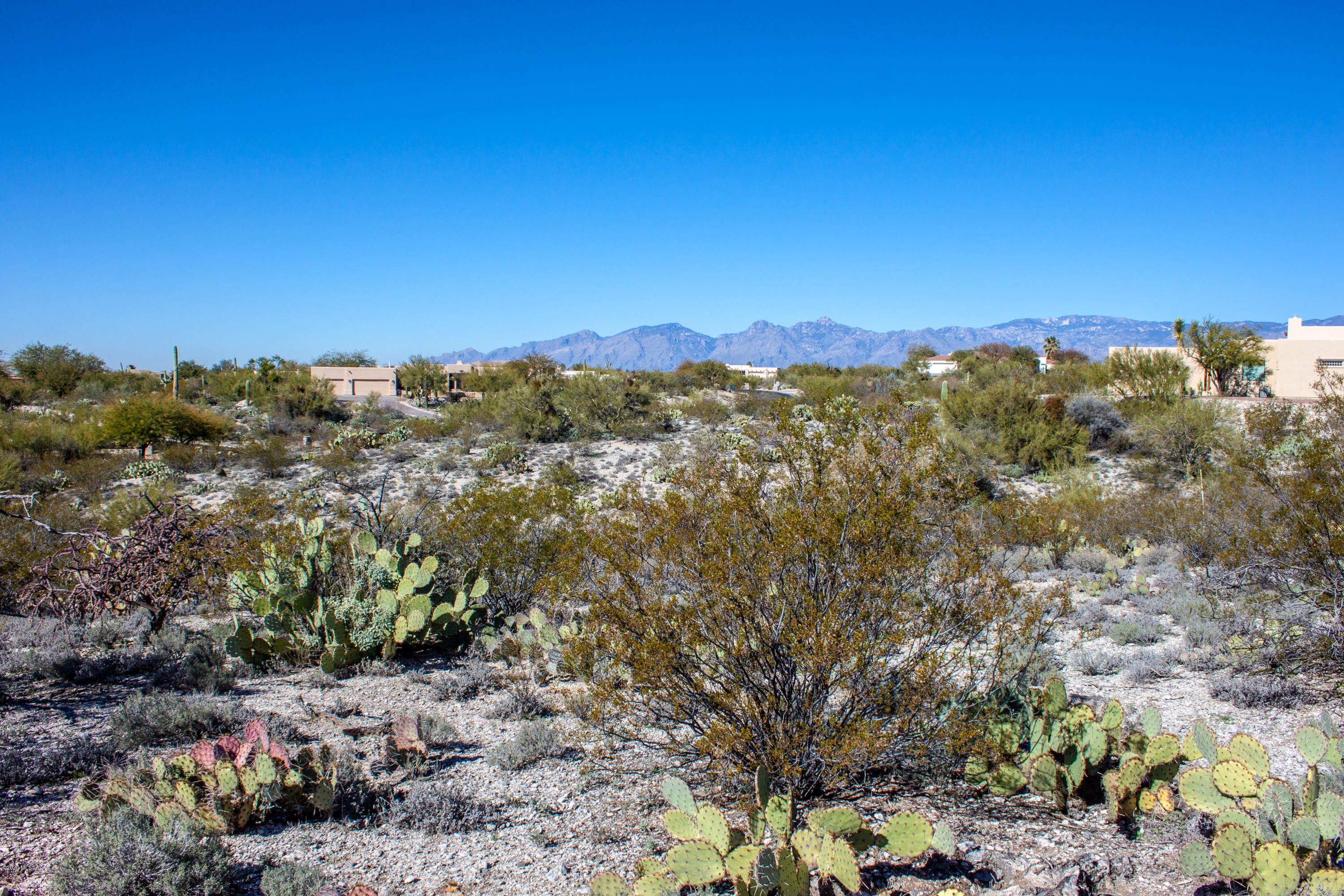 Rancho Cancion East (1-42) - Land