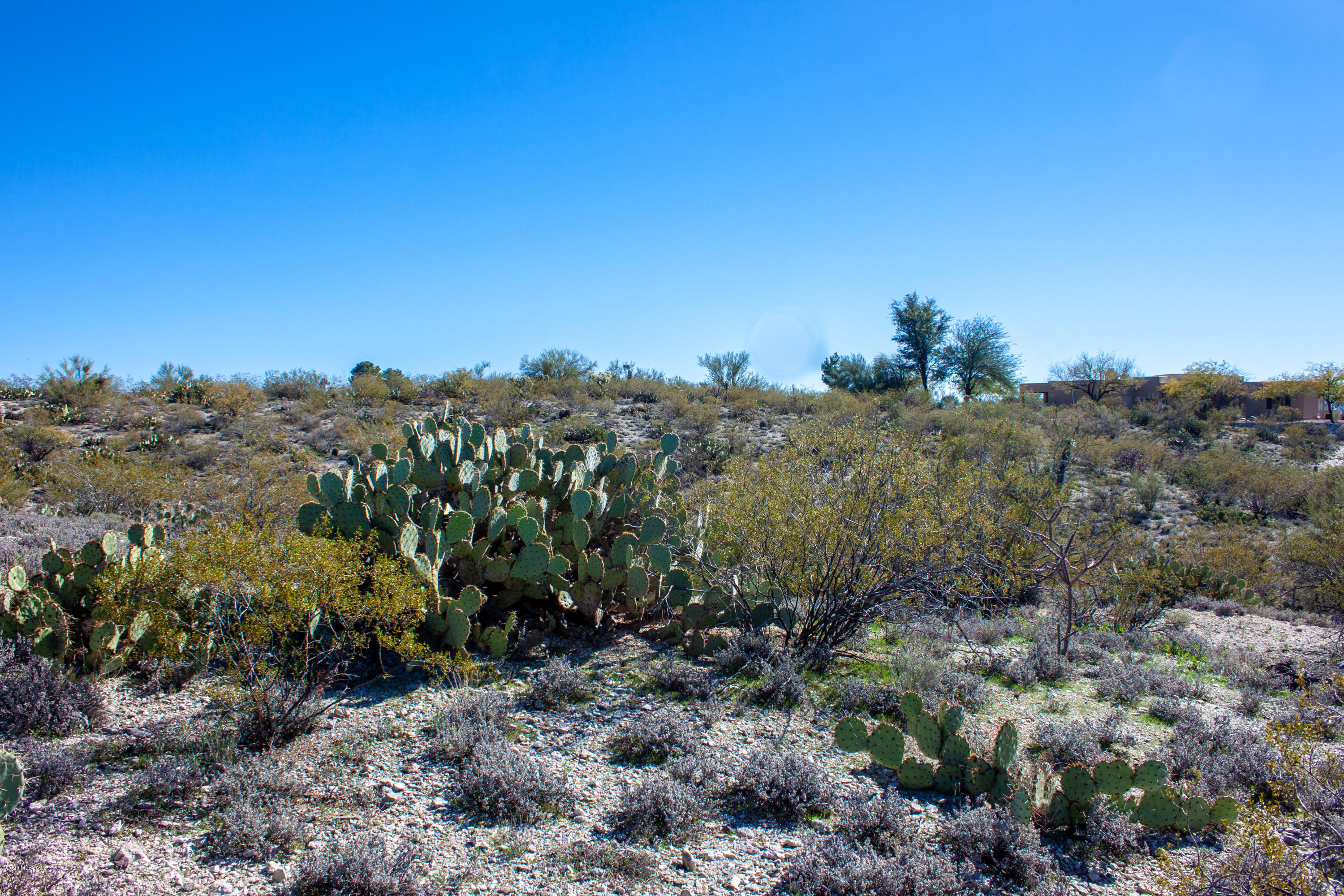 Rancho Cancion East (1-42) - Land