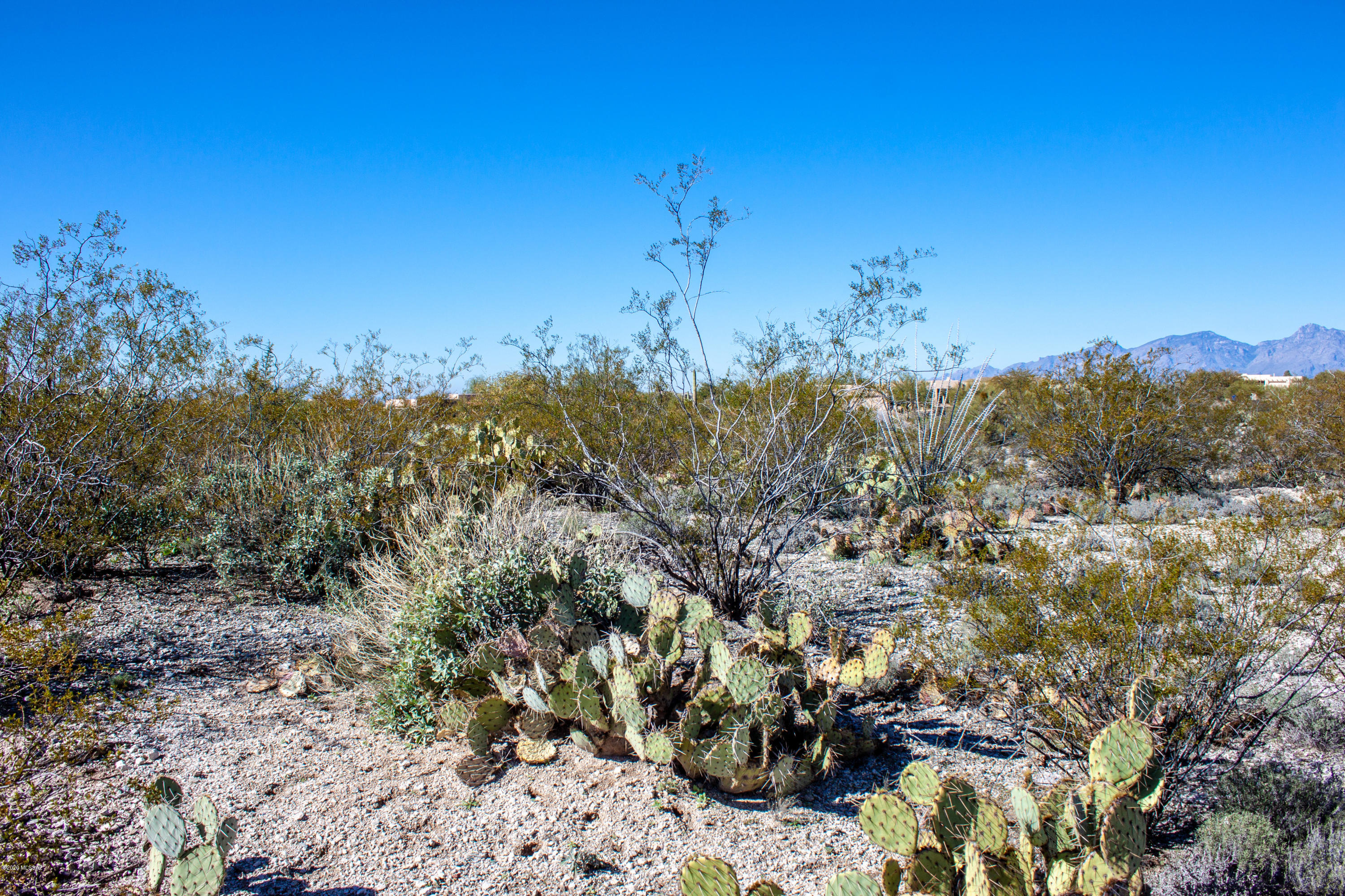 Rancho Cancion East (1-42) - Land