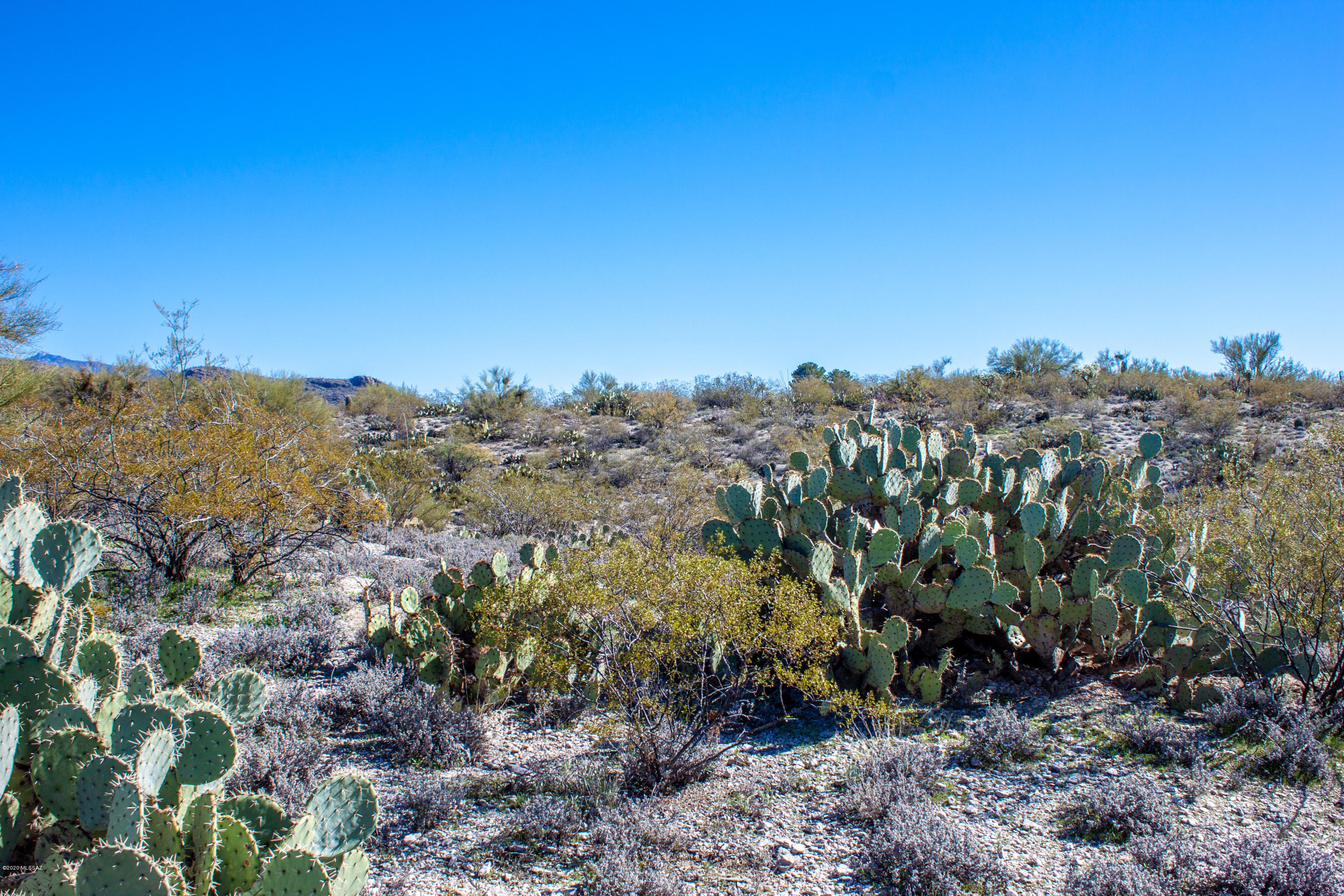 Rancho Cancion East (1-42) - Land
