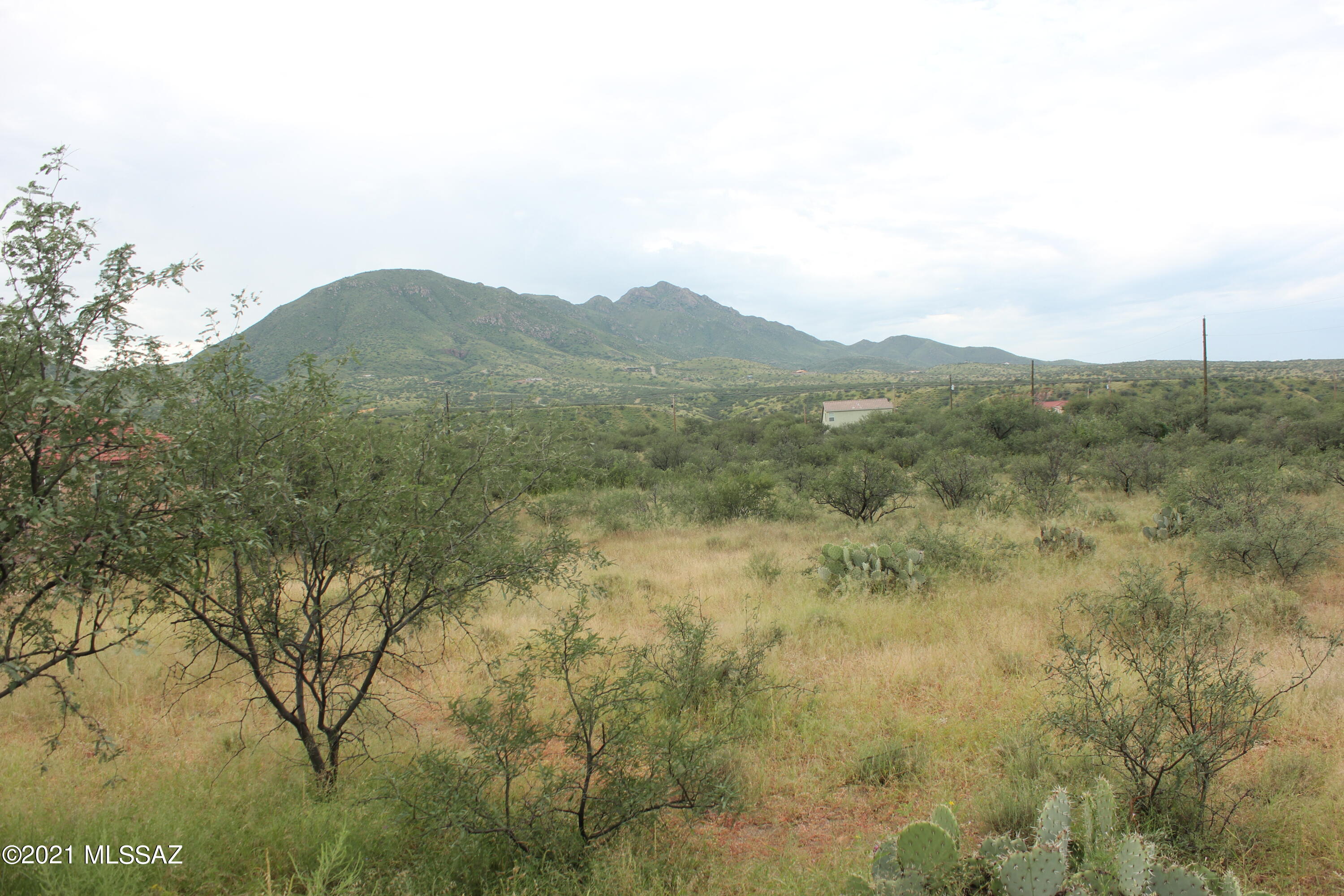 Rio Rico Villas 12 - Land