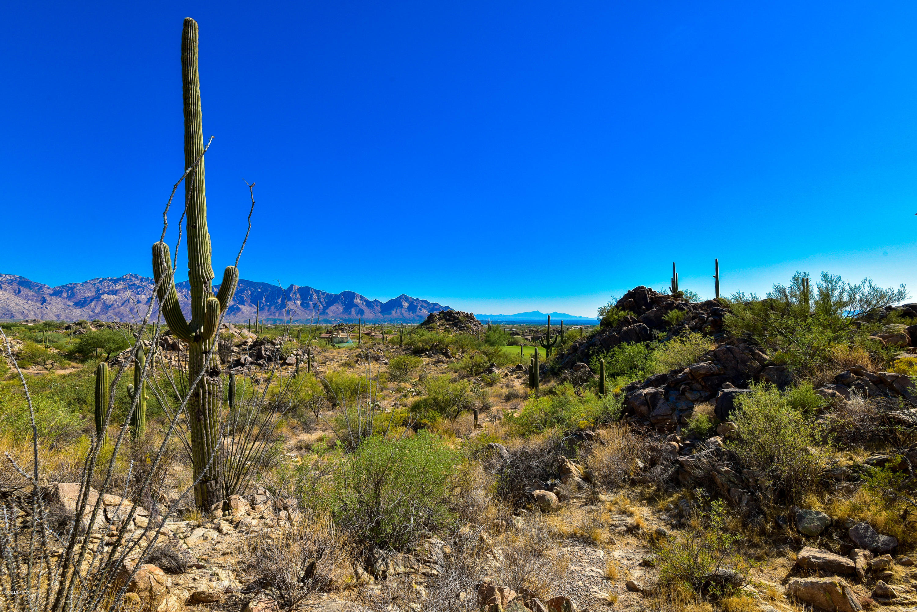 Stone Canyon II - Land