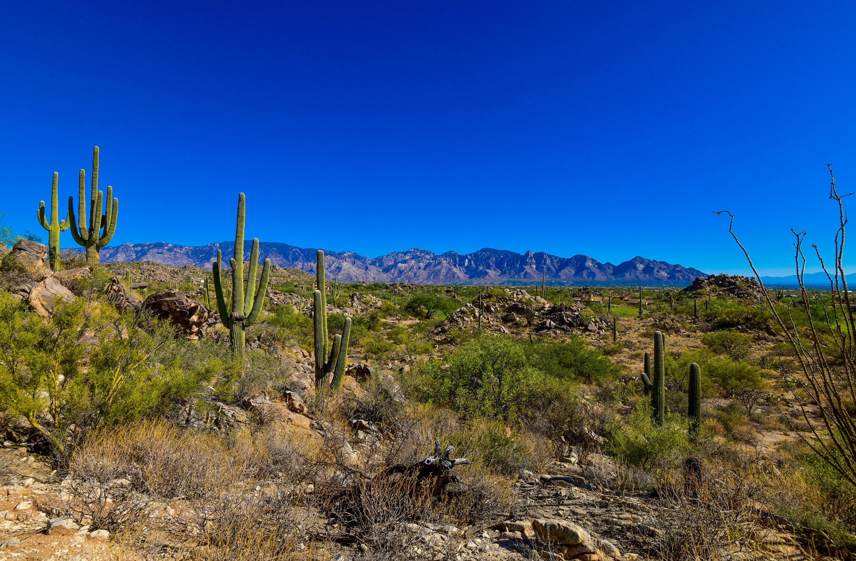 Stone Canyon II - Land