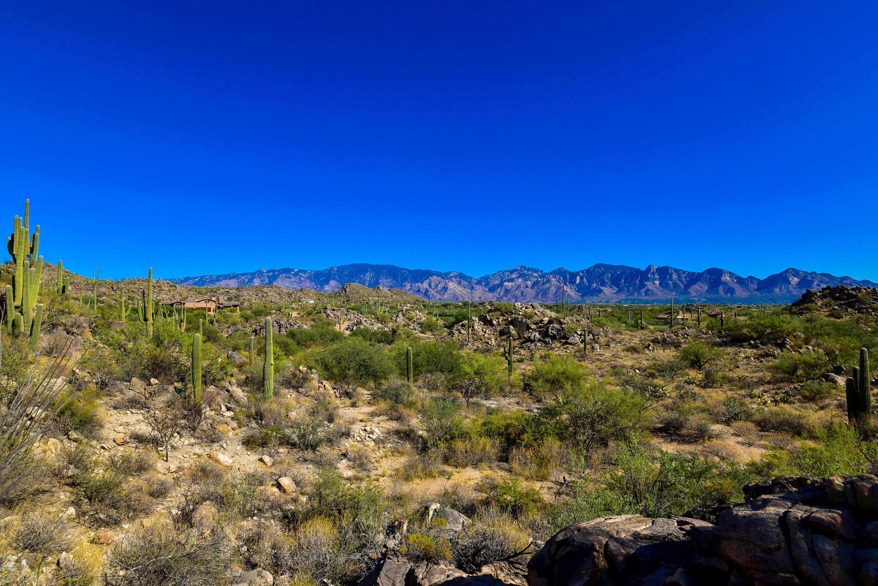 Stone Canyon II - Land