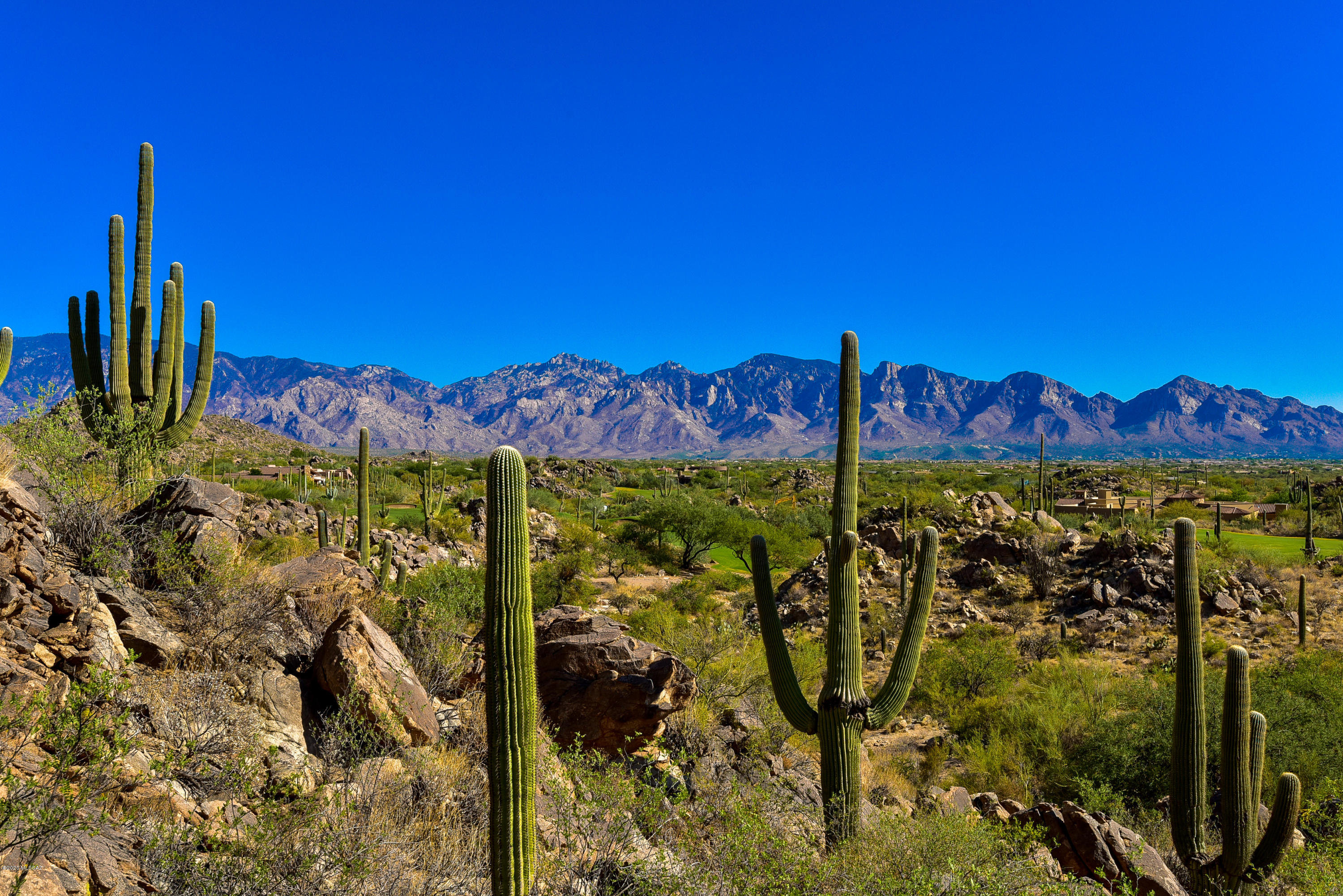 Stone Canyon II - Land