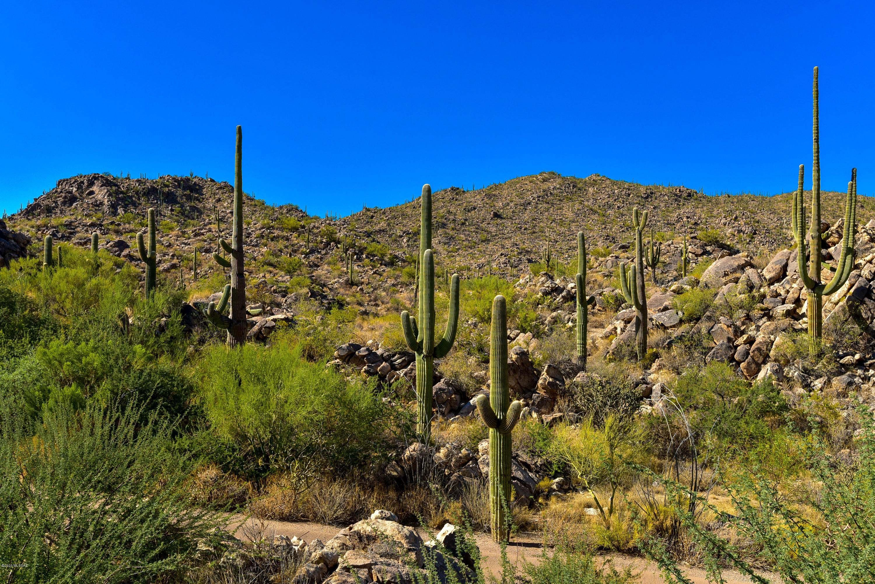 Stone Canyon II - Land