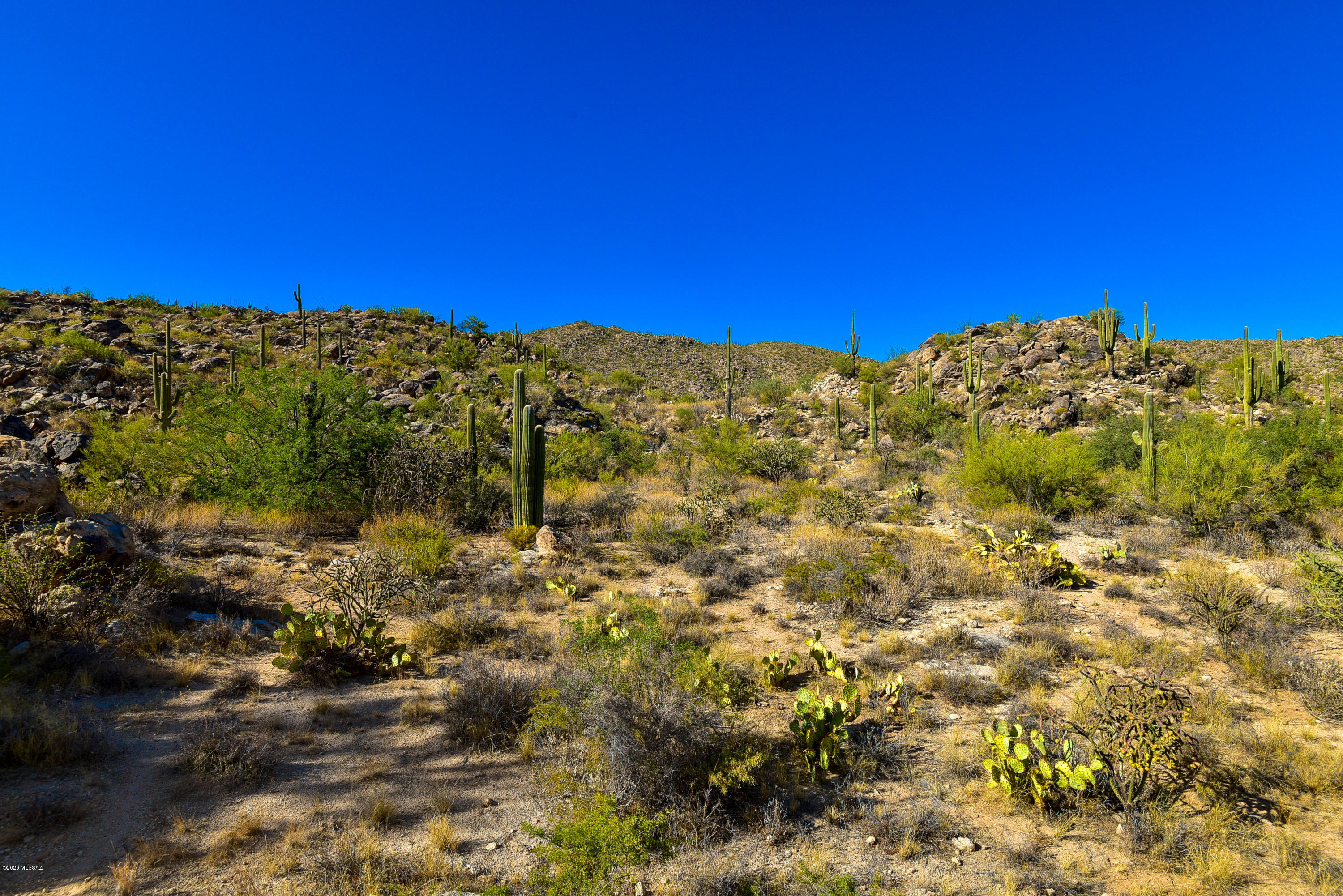 Stone Canyon II - Land
