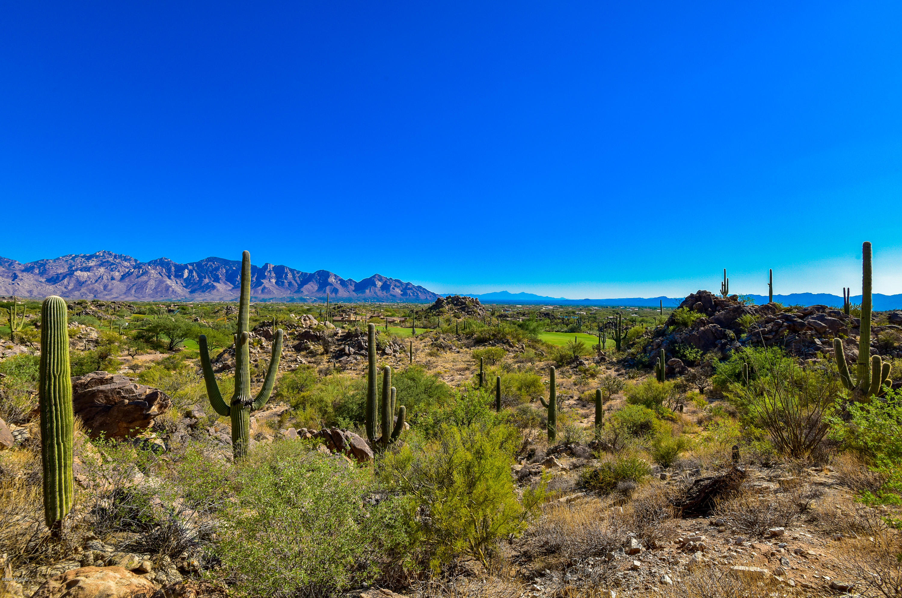 Stone Canyon II - Land