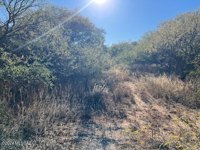 Mescal Lakes - Land