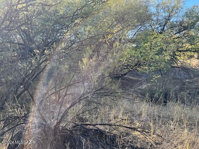 Mescal Lakes - Land
