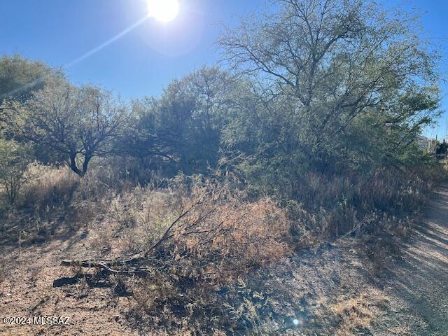 Mescal Lakes - Land