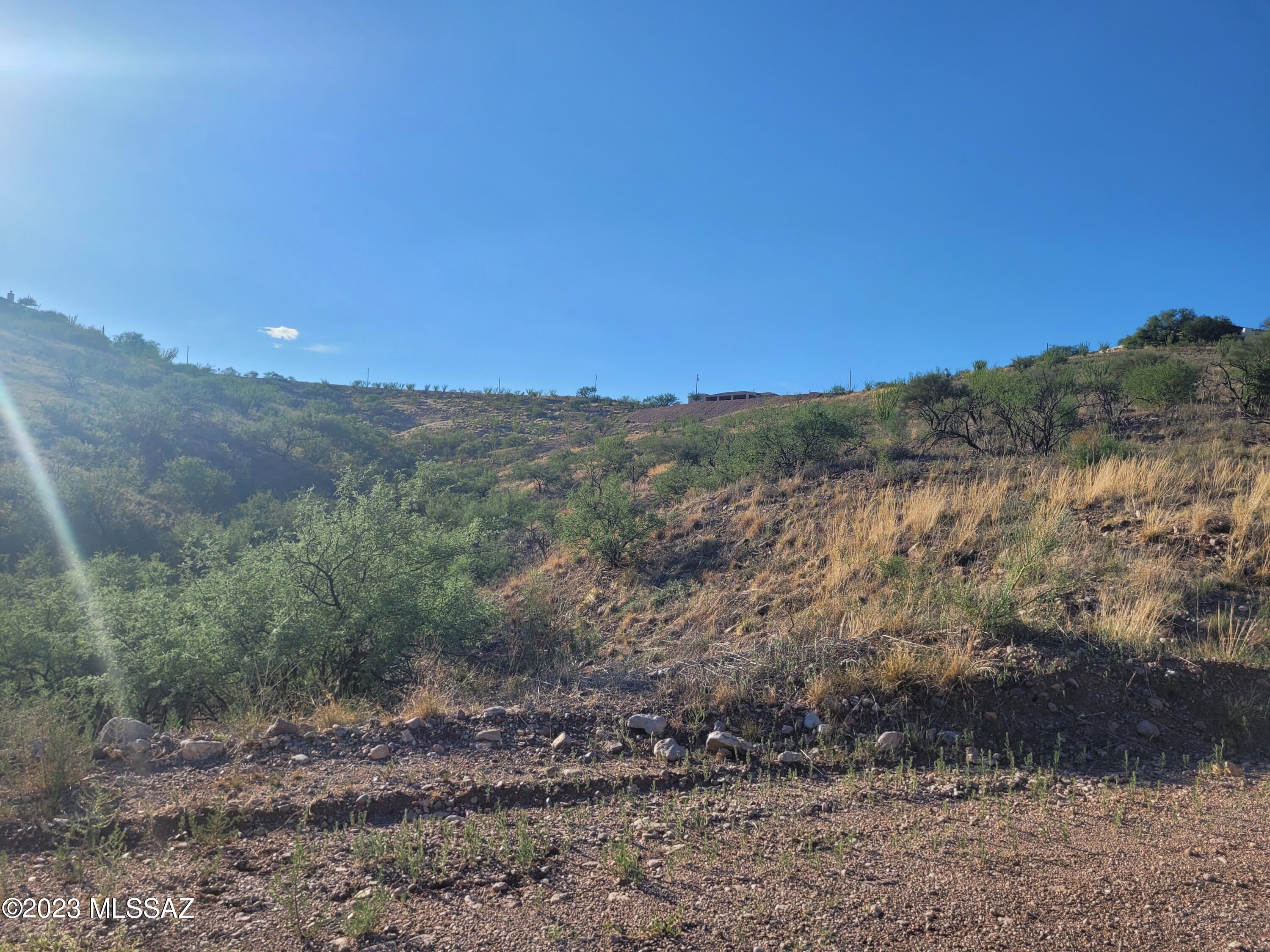 Rio Rico Ranchettes - Land
