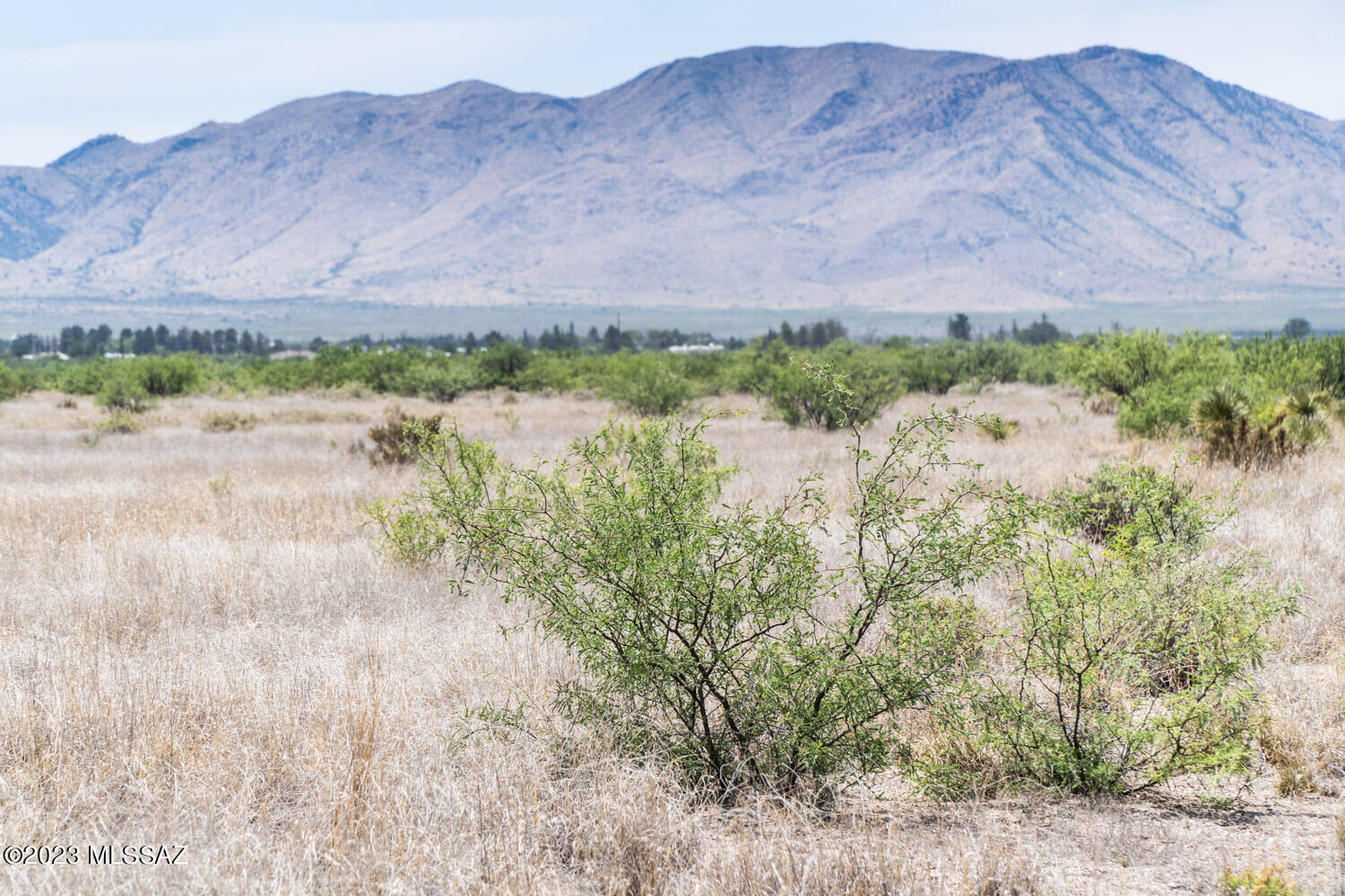 Arizona Sun Sites - Land
