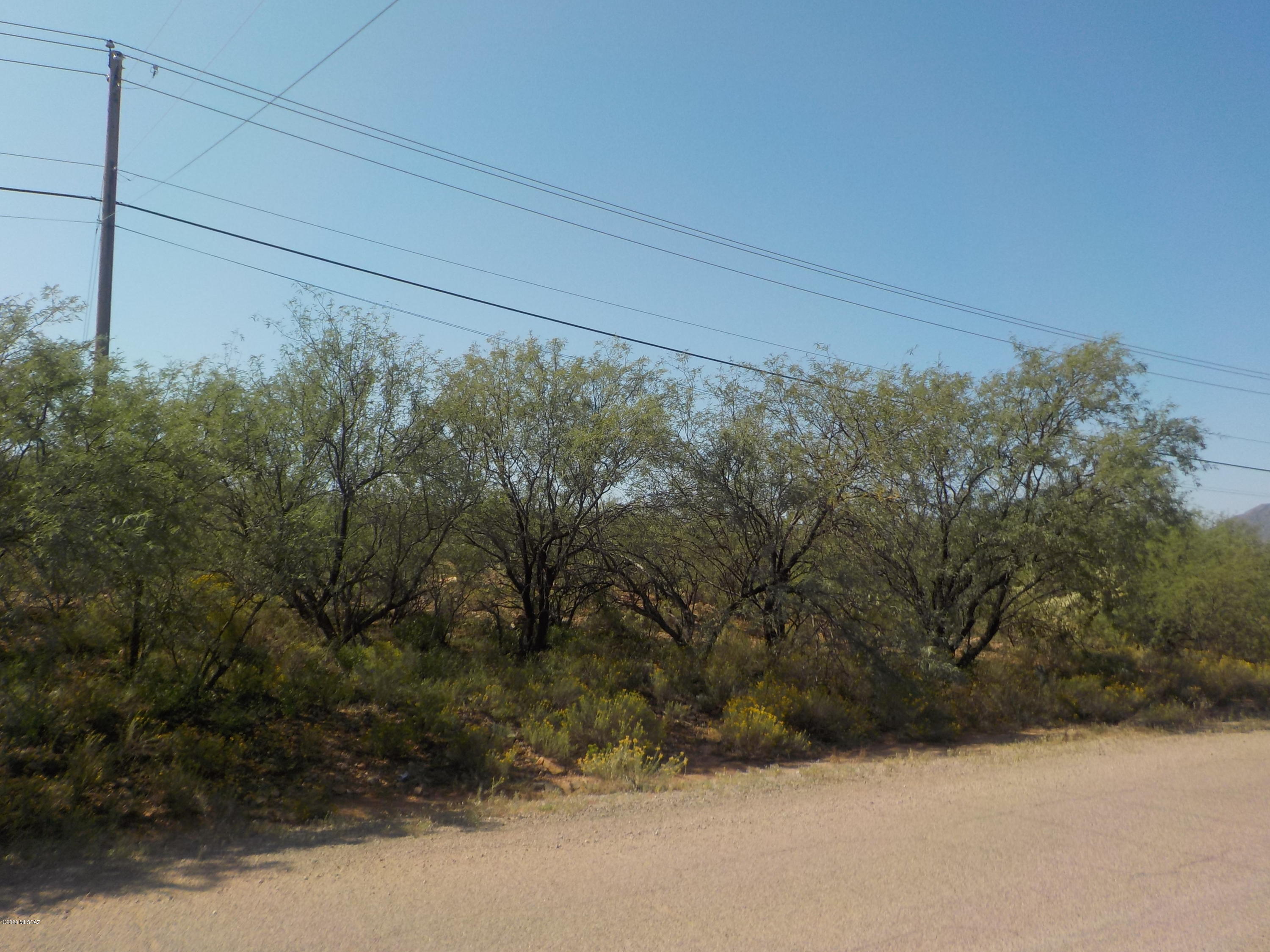 Rio Rico Ranchettes - Land