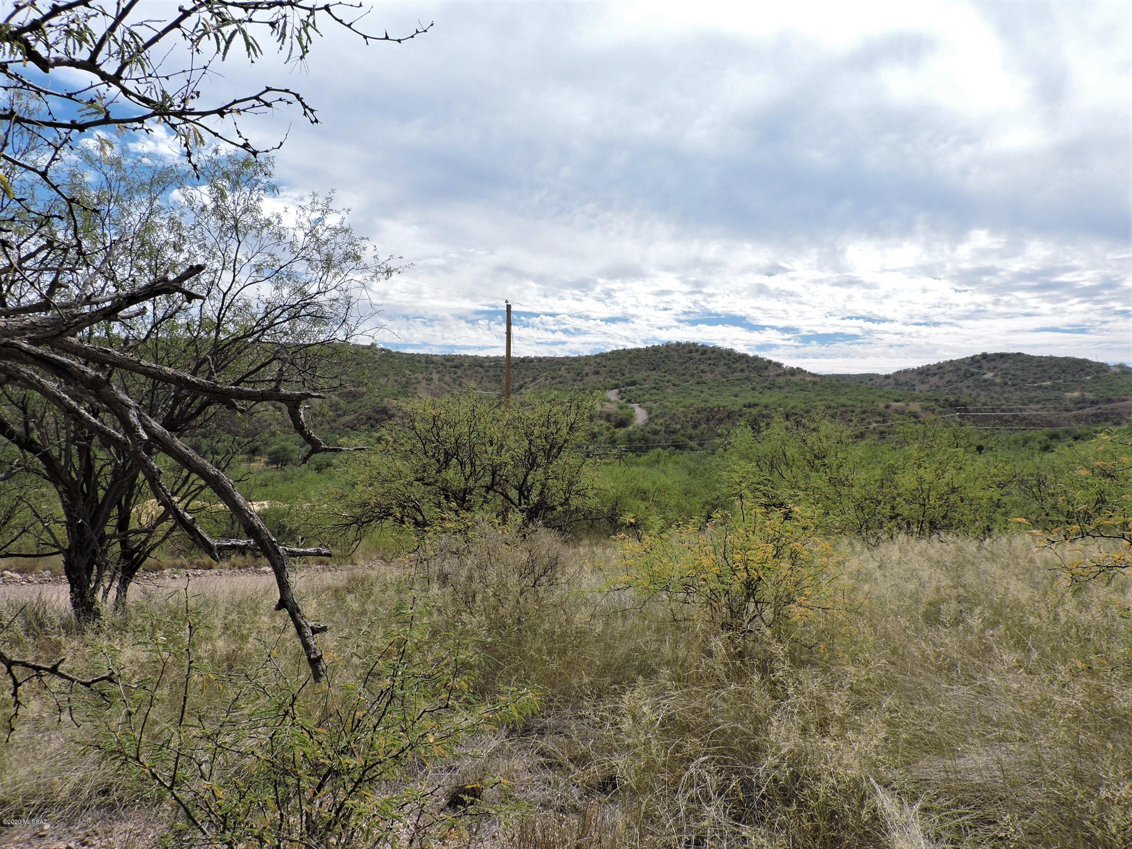Rio Rico Ranchettes - Land