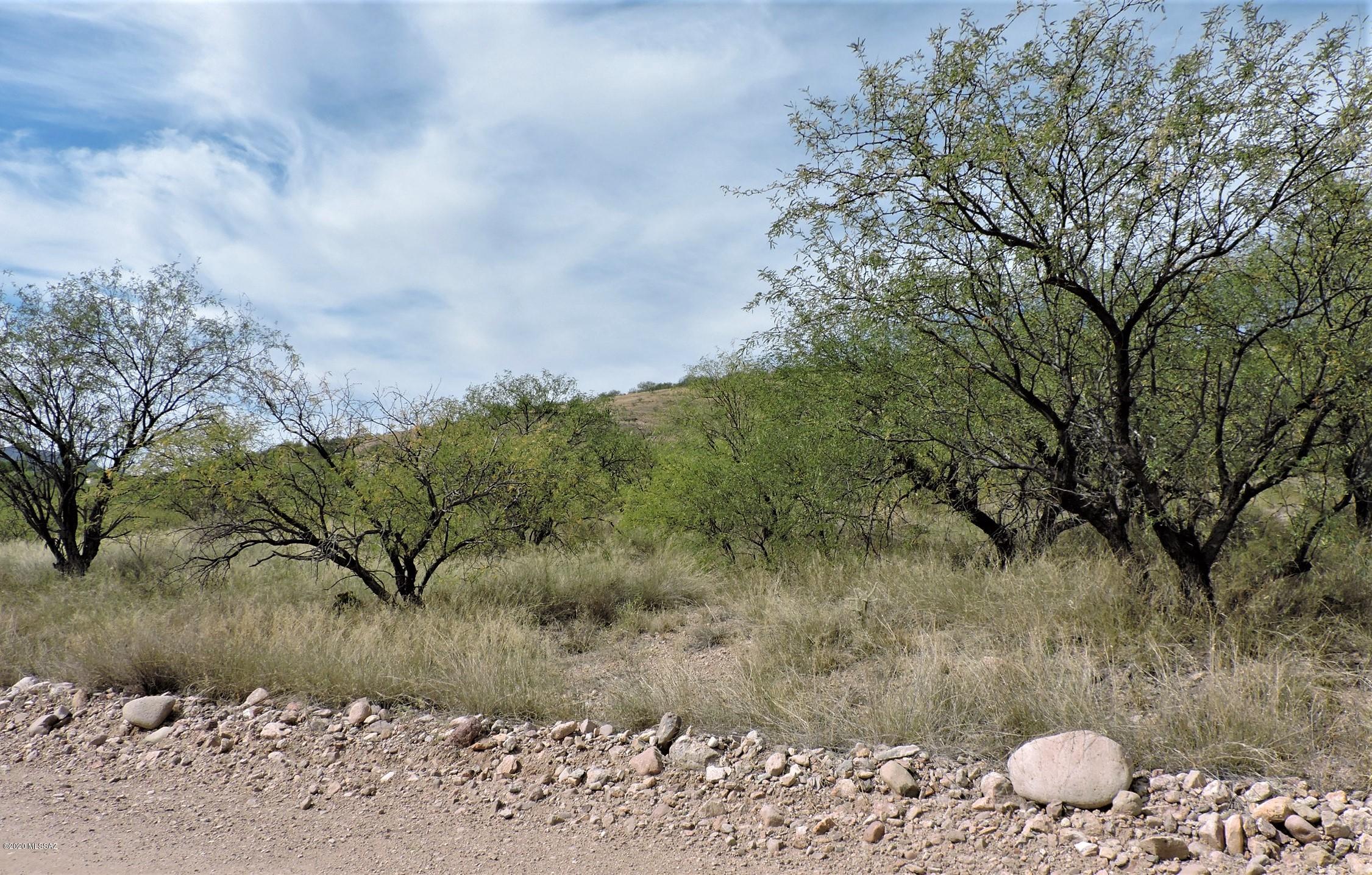 Rio Rico Ranchettes - Land