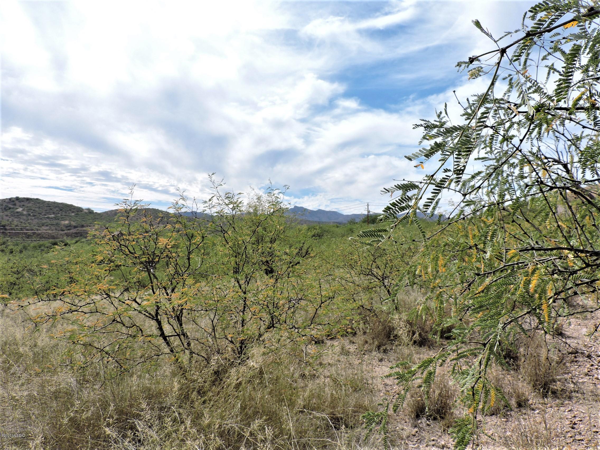 Rio Rico Ranchettes - Land